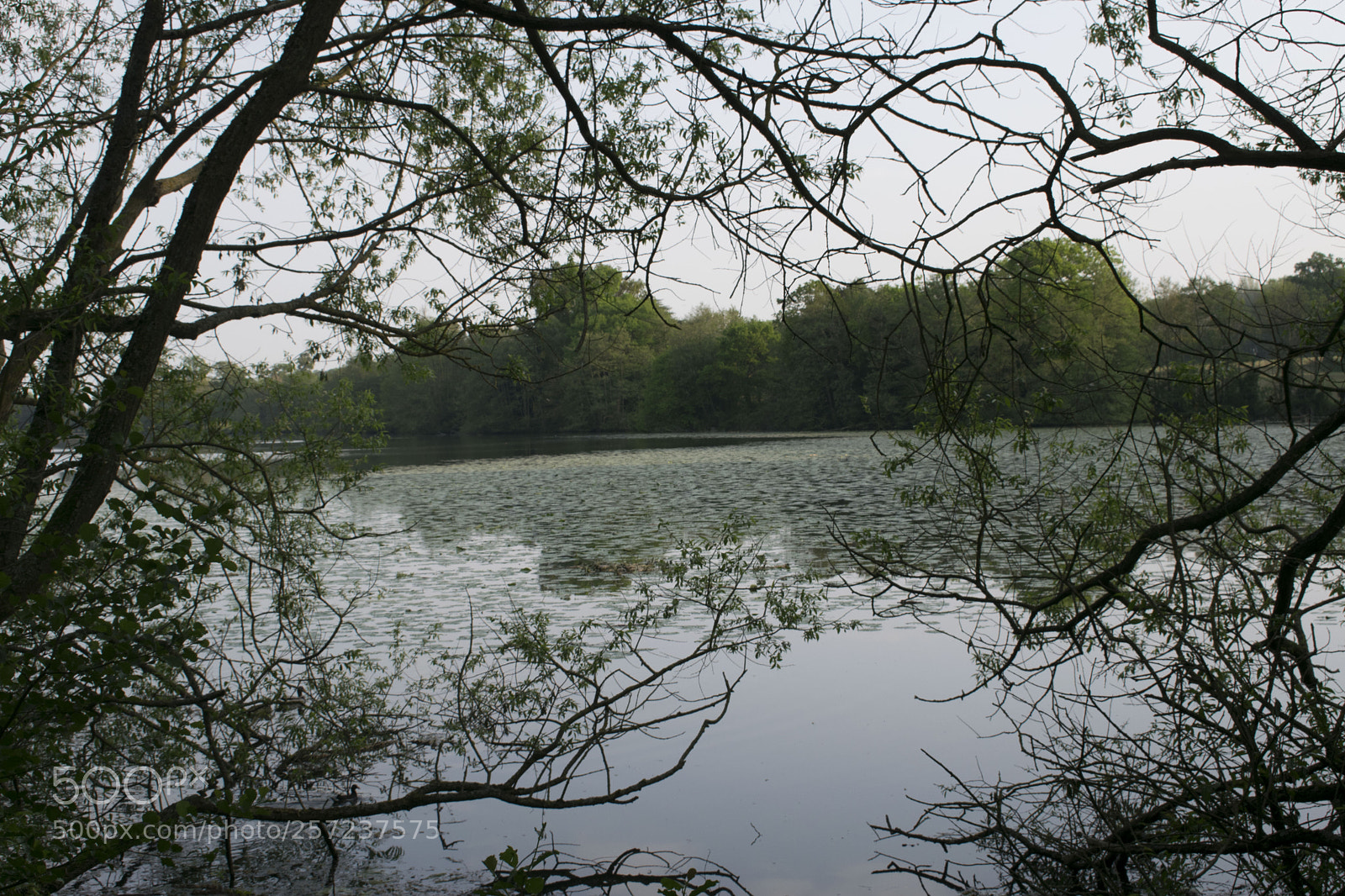 Nikon D3300 sample photo. The lake through the photography