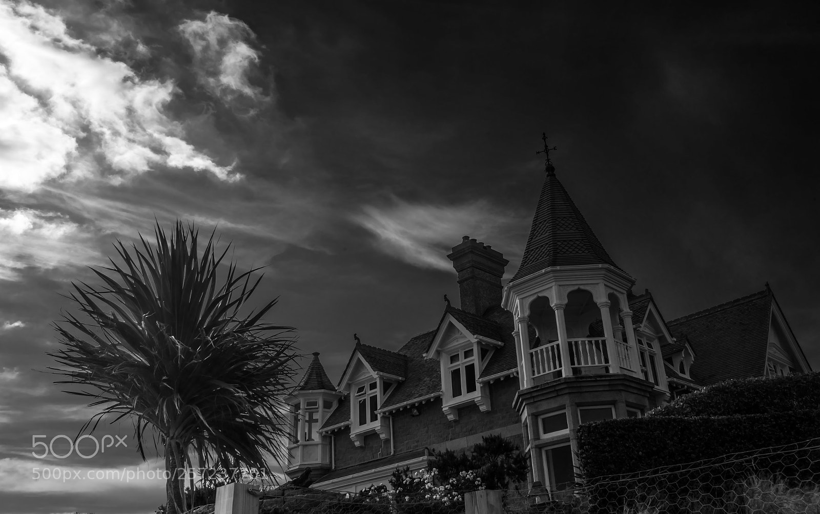 Sony a7 sample photo. Tower & palm tree photography