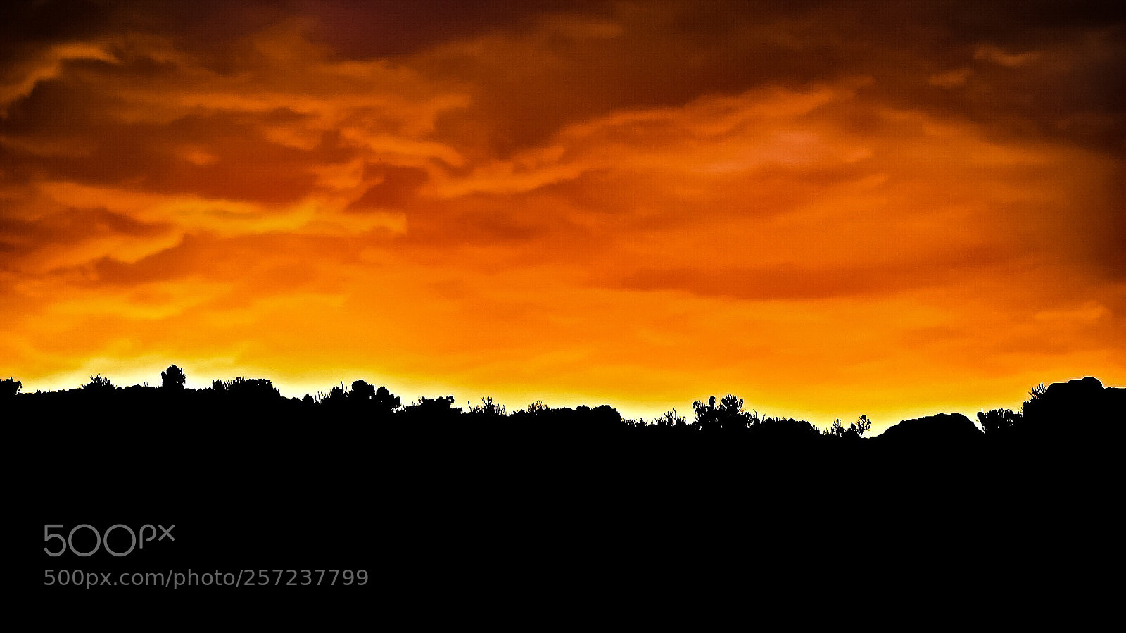 Nikon D5500 sample photo. Last light photography