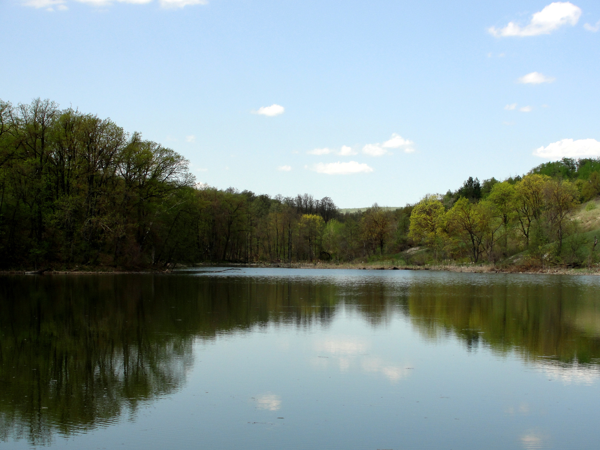 Sony Cyber-shot DSC-H20 sample photo. Pond photography