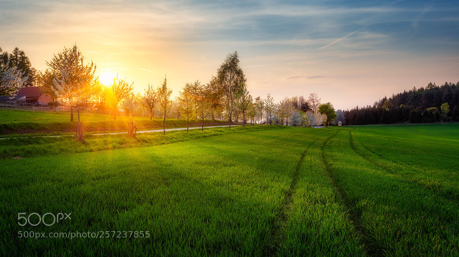 Canon EOS 6D sample photo. -- spring sunset -- photography