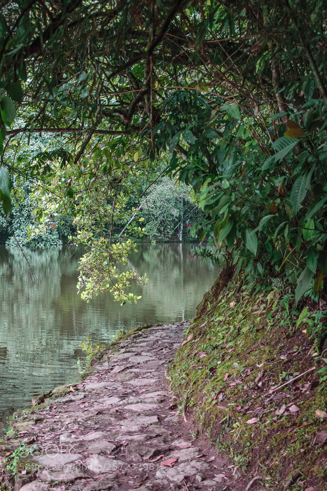 Nikon D3300 sample photo. Sendero de el tabacal photography
