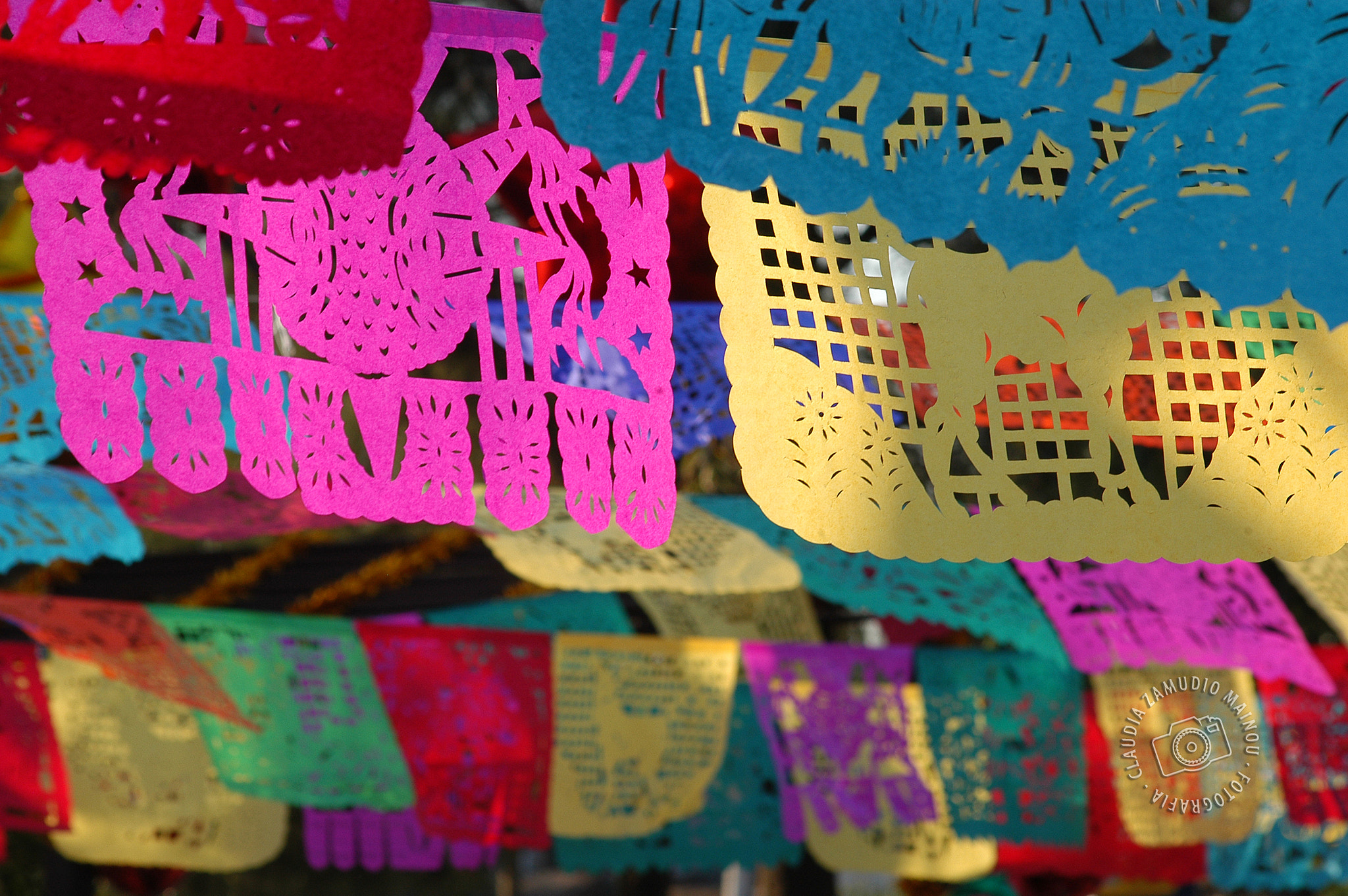 Nikon D100 sample photo. Papel picado photography