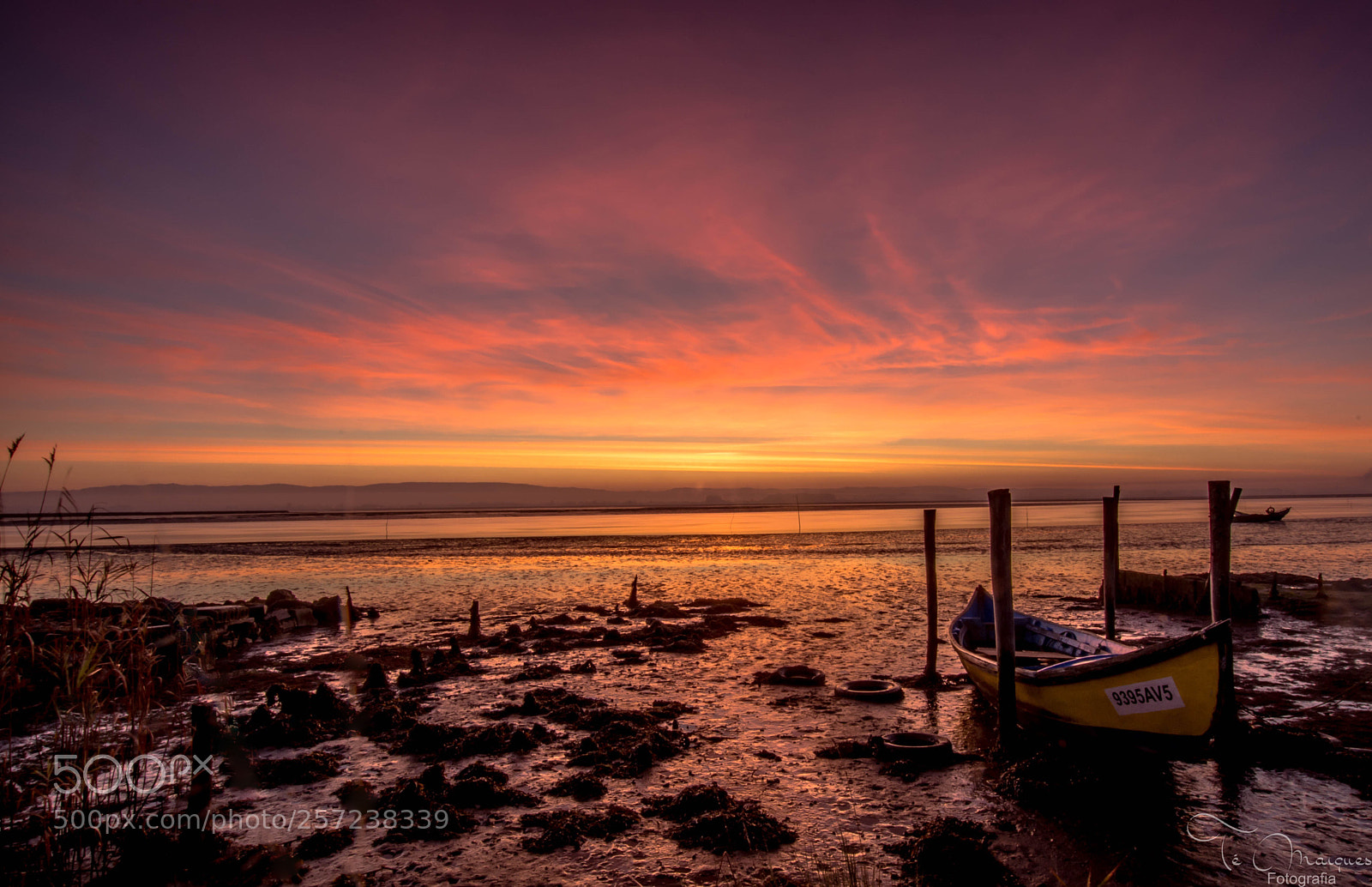 Nikon D7200 sample photo. On fire at dawn photography