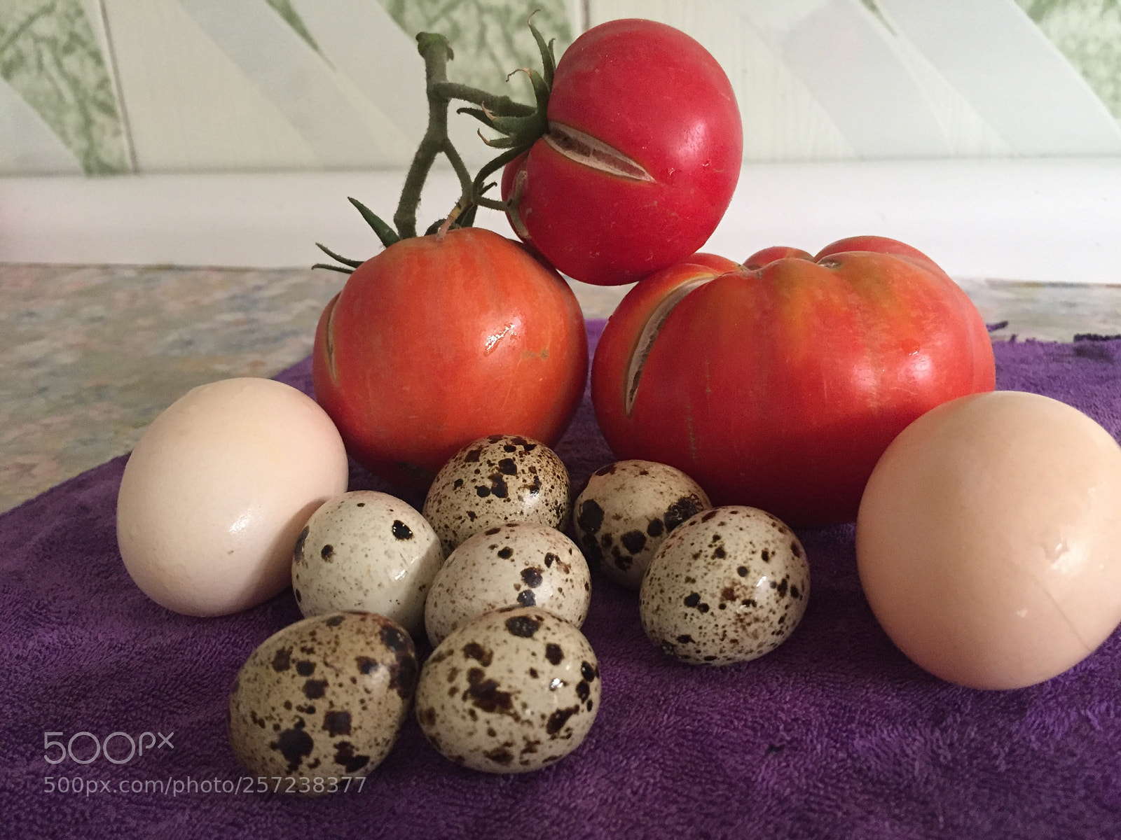 Apple iPhone 6 sample photo. ! photography