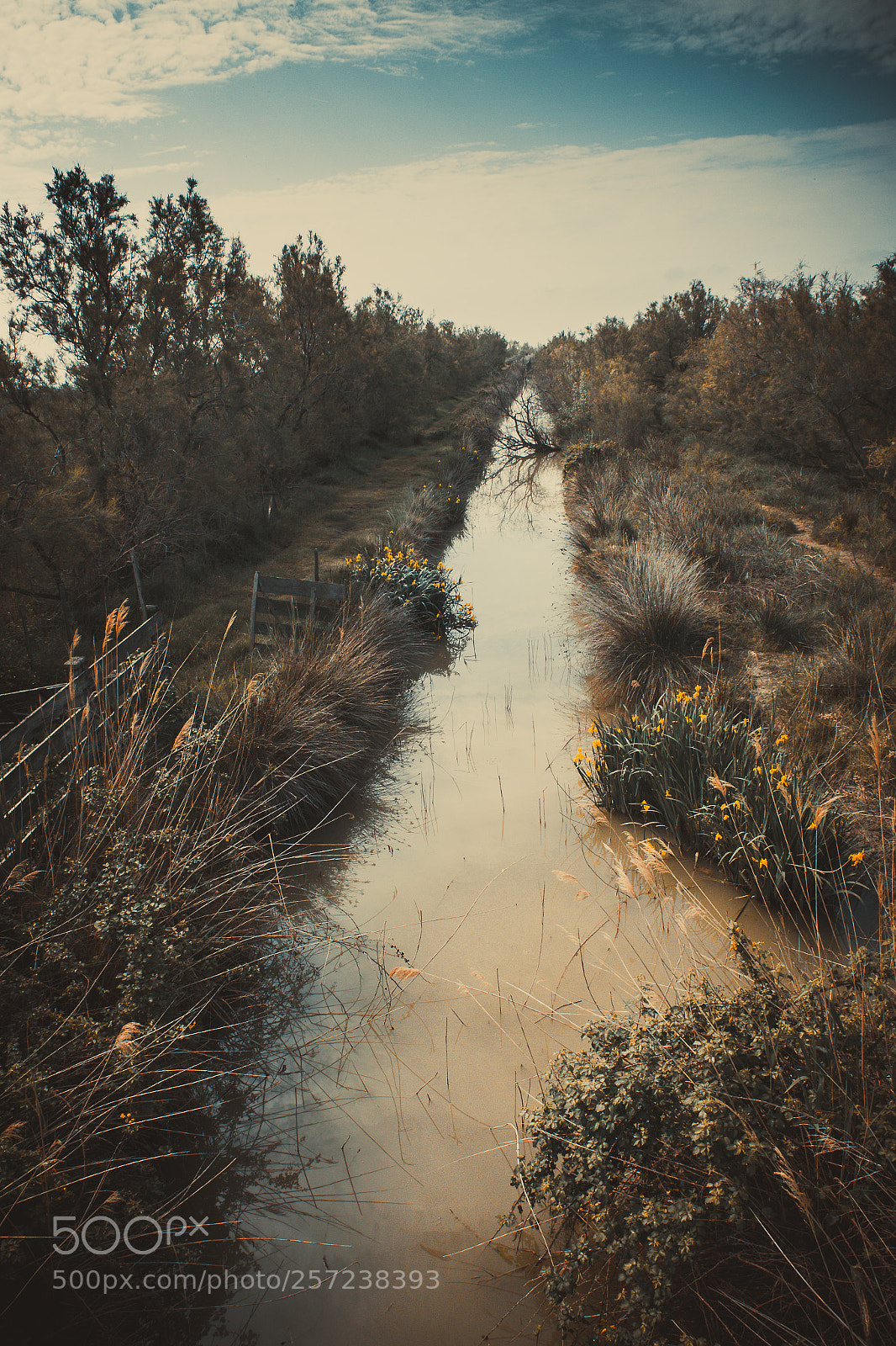 Canon EOS 6D sample photo. Camargue photography