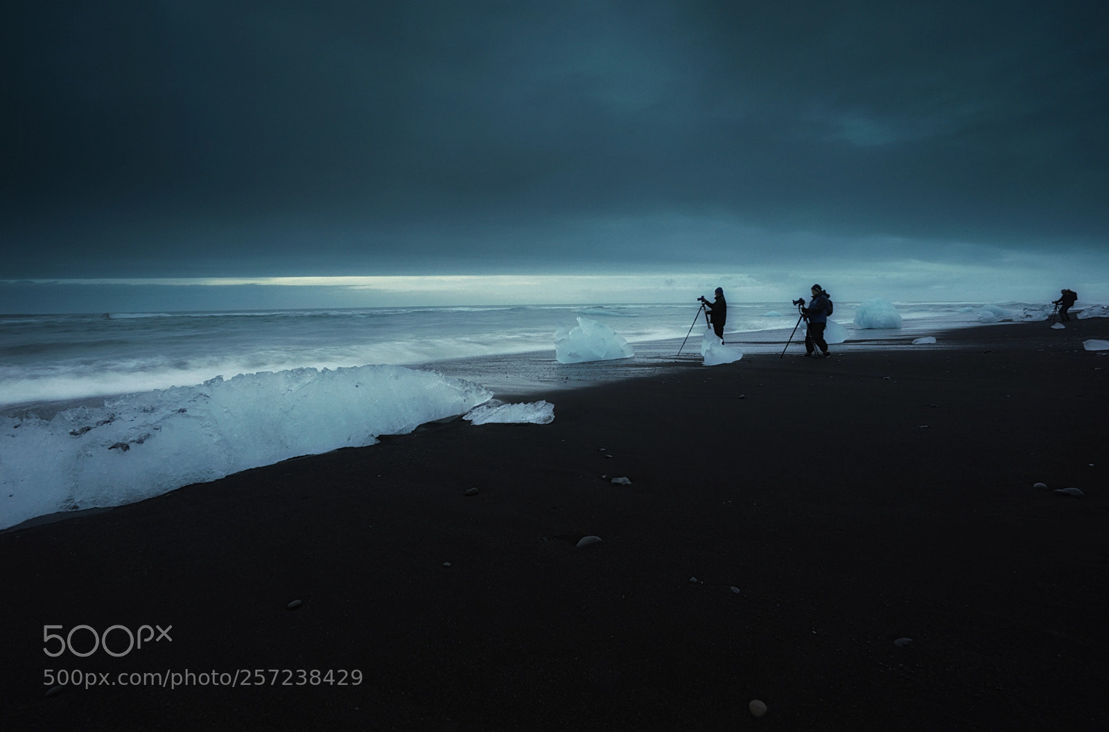 Sony a7R sample photo. Frozen photography