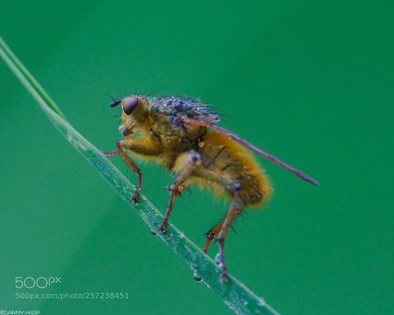 Sony a6000 sample photo. _dsc9266.jpg photography