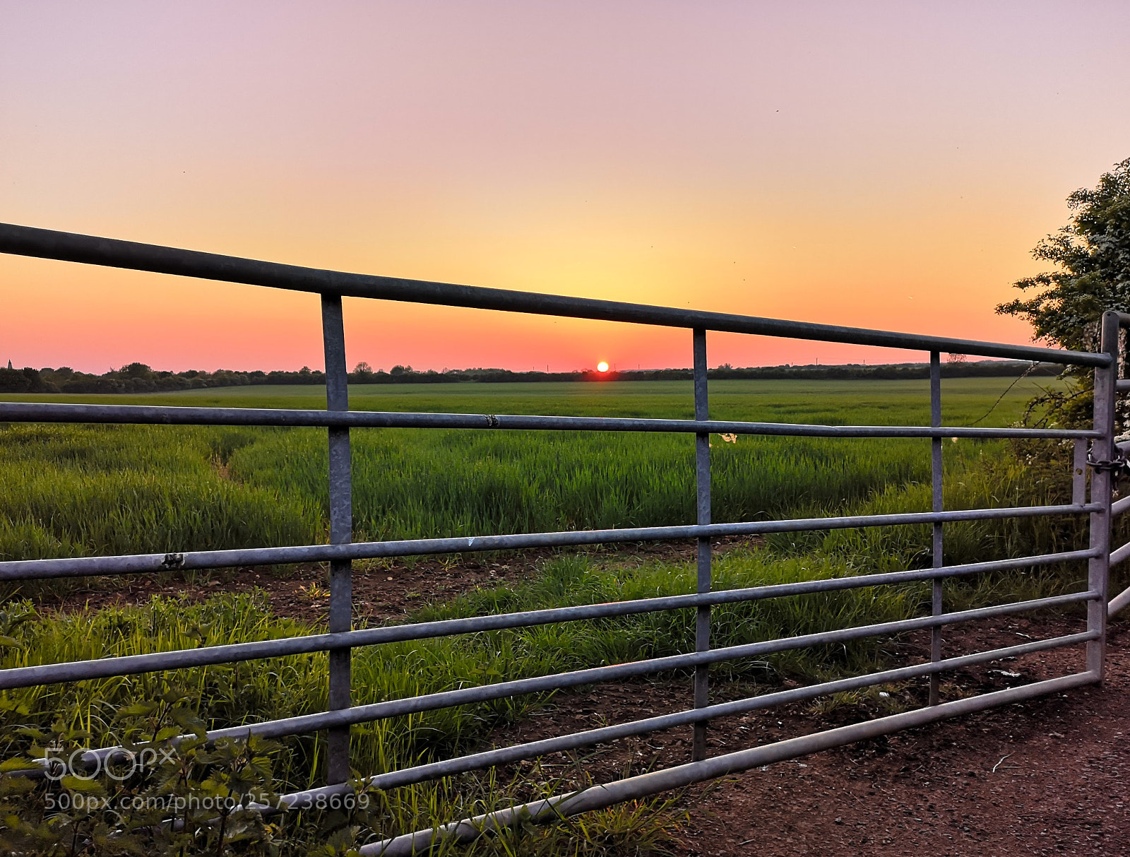 HUAWEI P20 sample photo. Days end photography