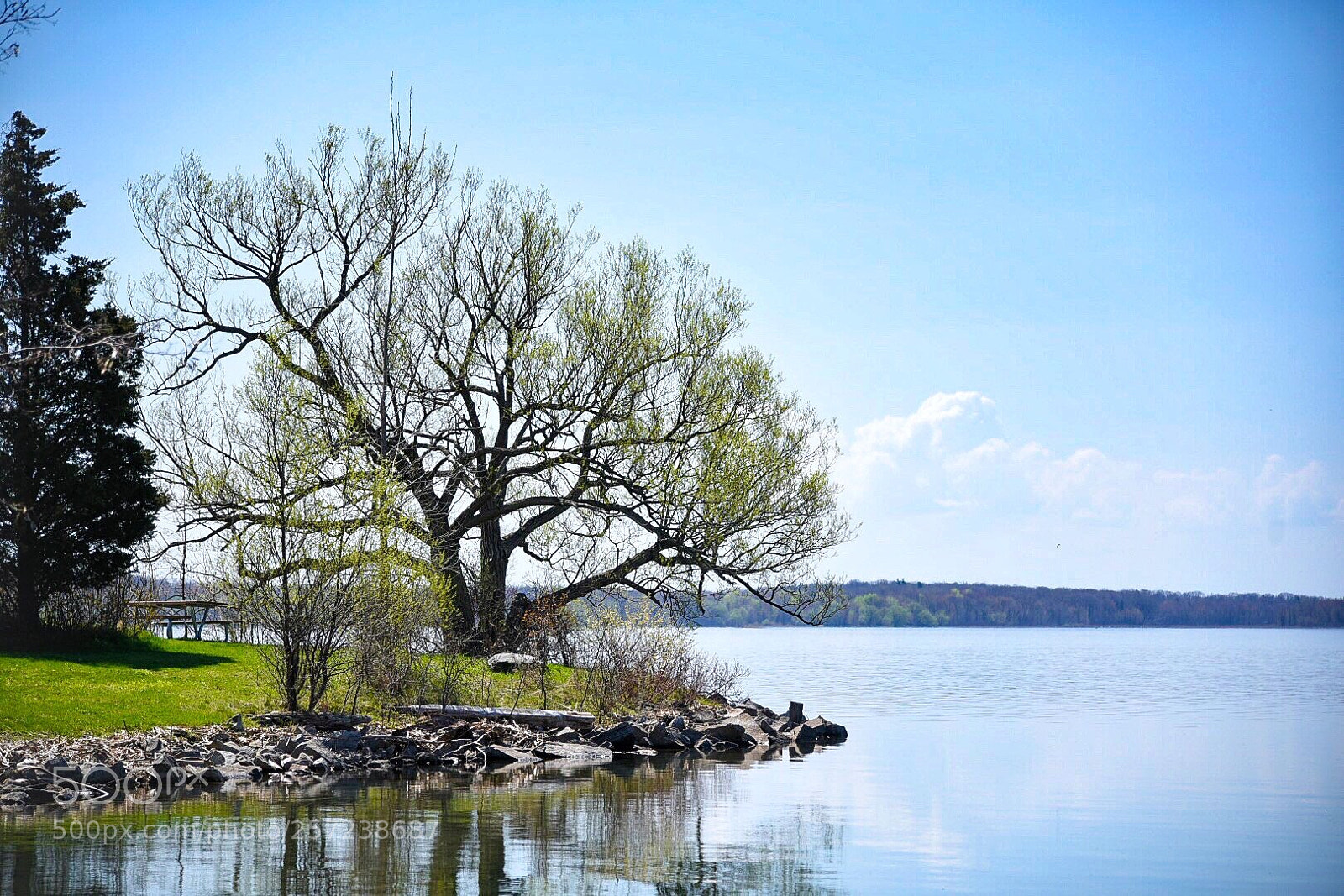 Nikon D750 sample photo. Small lagoon, thousand islands photography