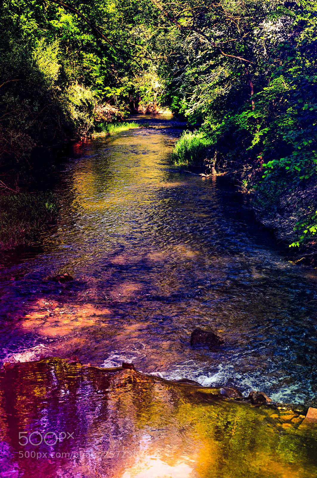 Nikon D90 sample photo. Spring's colors on water photography