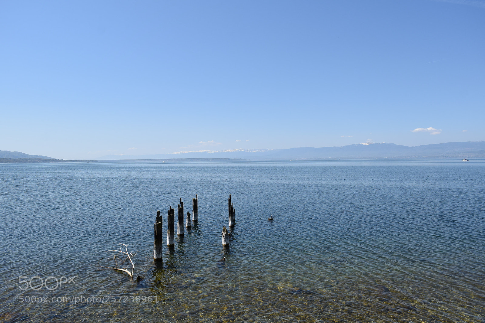 Nikon D3300 sample photo. Zen photography