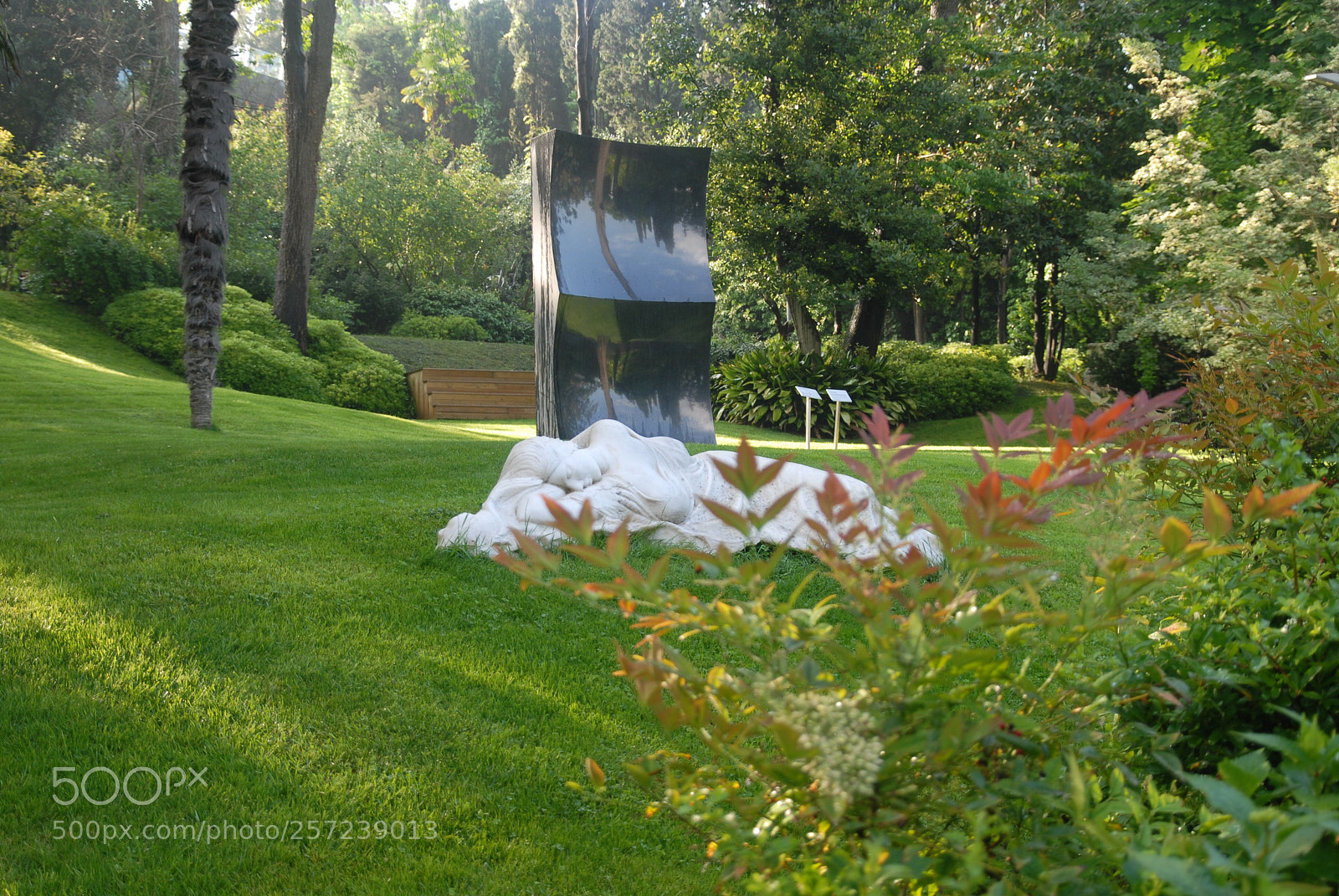 Nikon D200 sample photo. Art photography