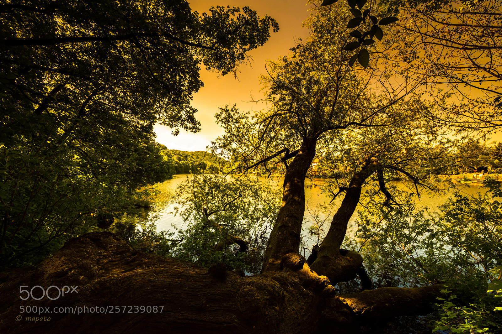 Nikon D7200 sample photo. Ein teich unter dem photography