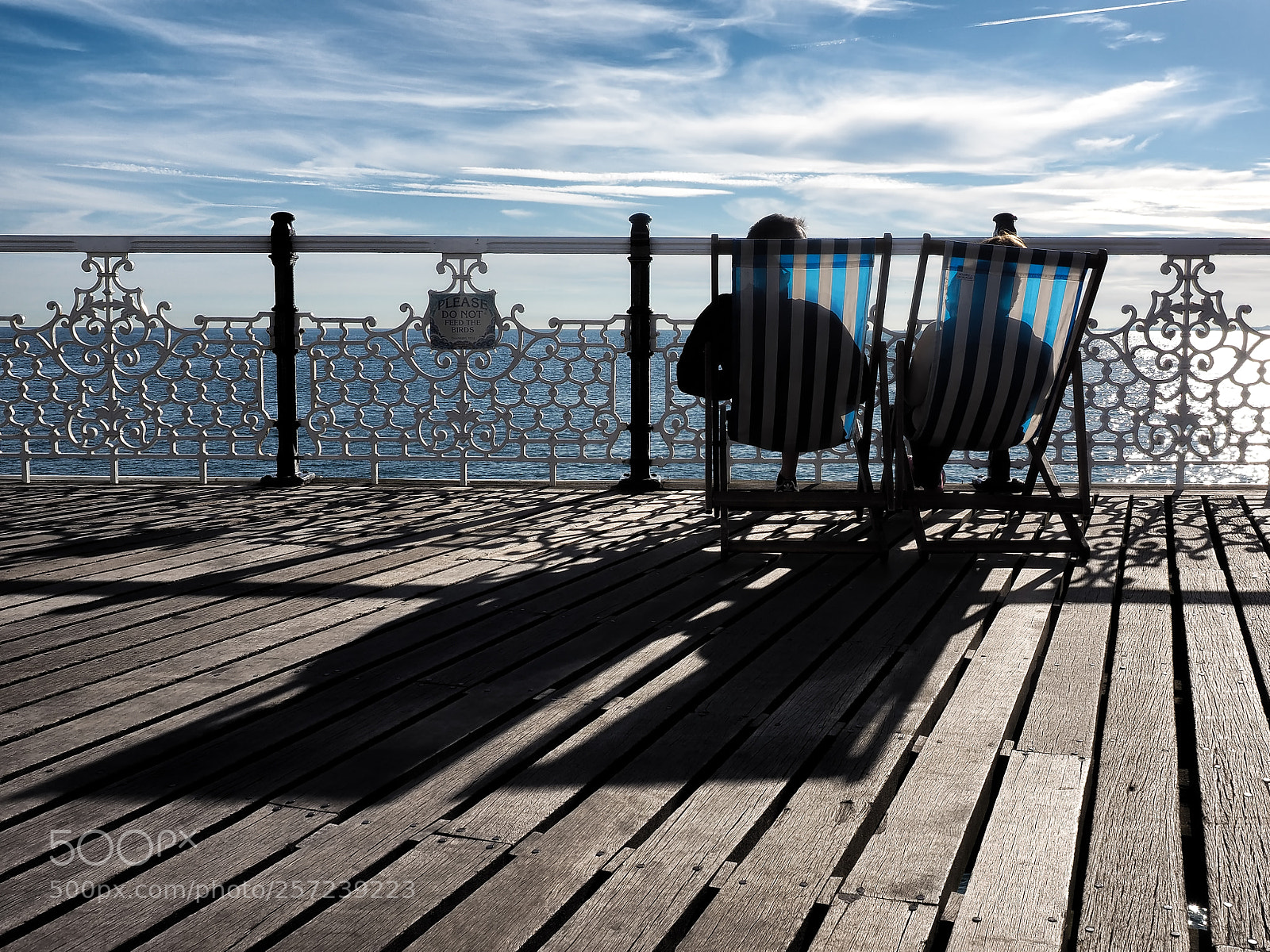 Olympus OM-D E-M10 II sample photo. True brits photography