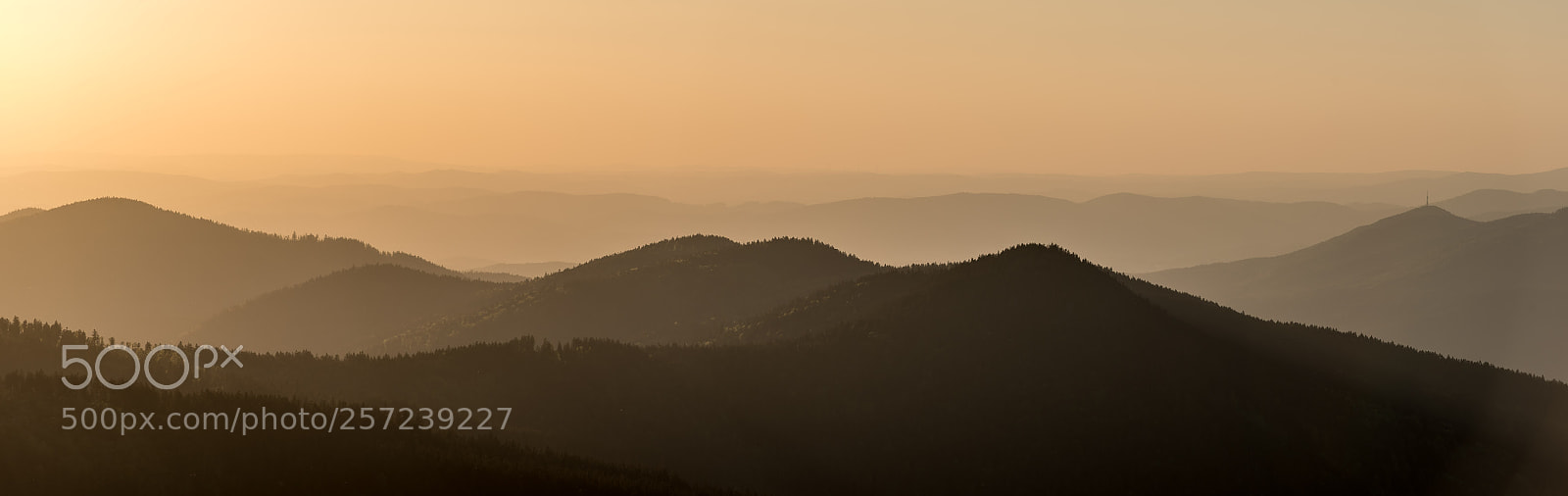 Nikon D750 sample photo. Layers photography