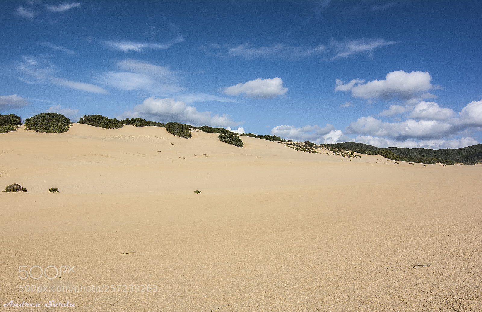 Nikon D7100 sample photo. Sardinian desert photography
