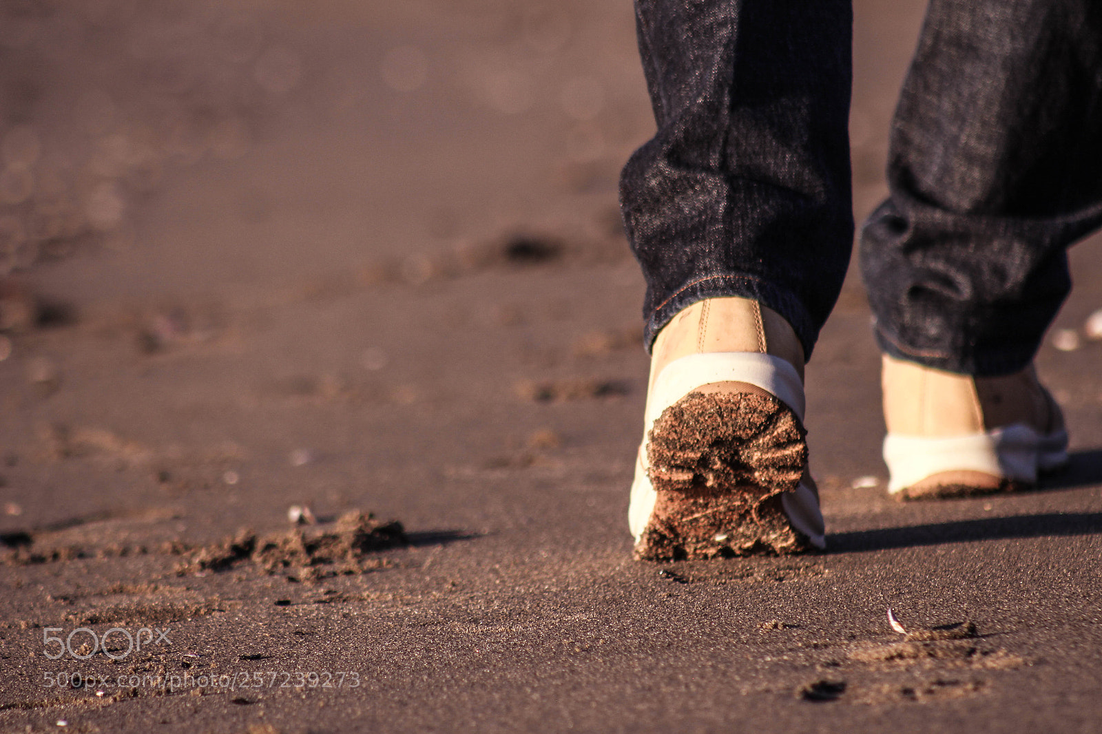 Canon EOS 700D (EOS Rebel T5i / EOS Kiss X7i) sample photo. Footprints in the sand photography