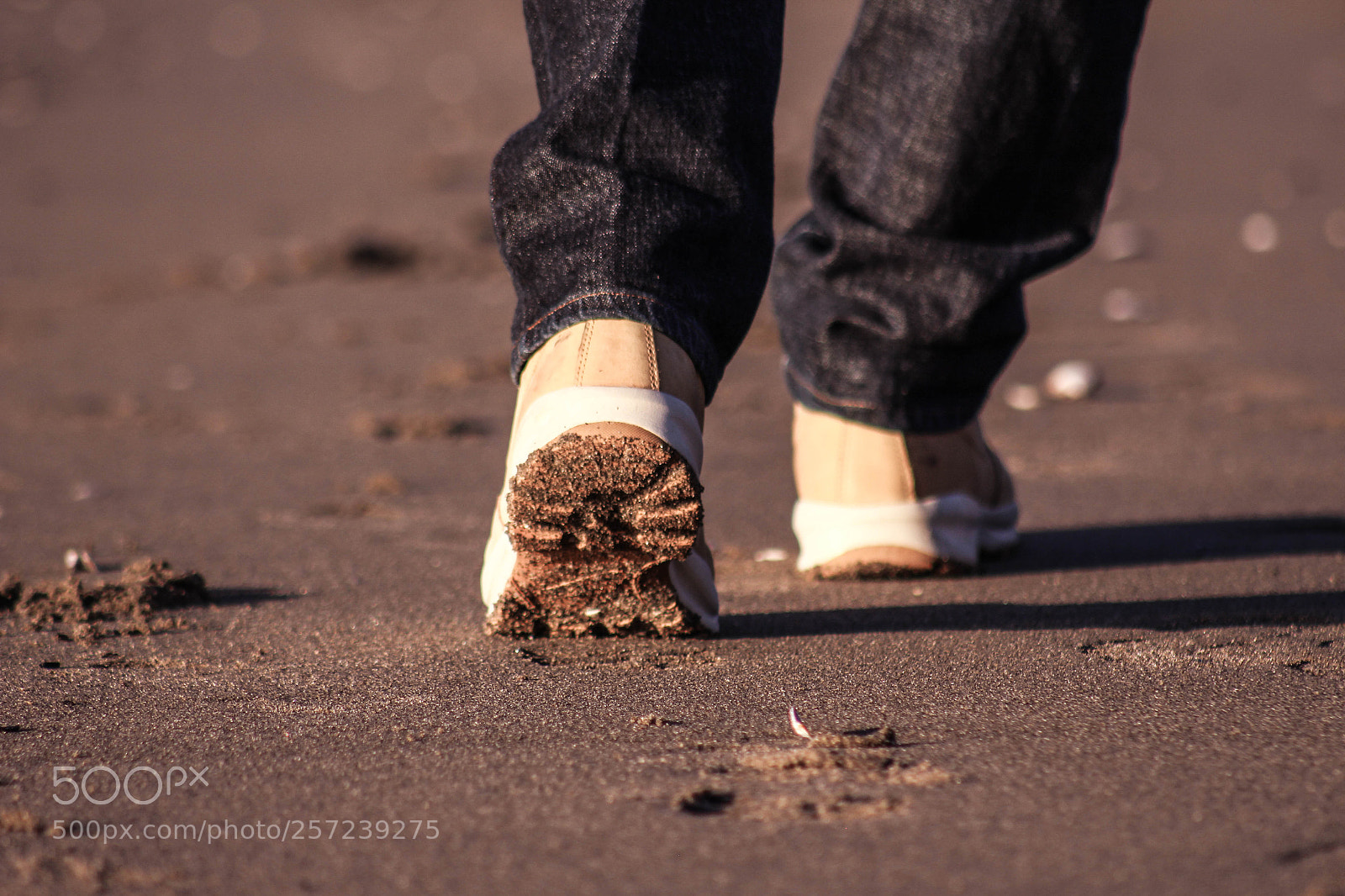 Canon EOS 700D (EOS Rebel T5i / EOS Kiss X7i) sample photo. Footprints in the sand photography