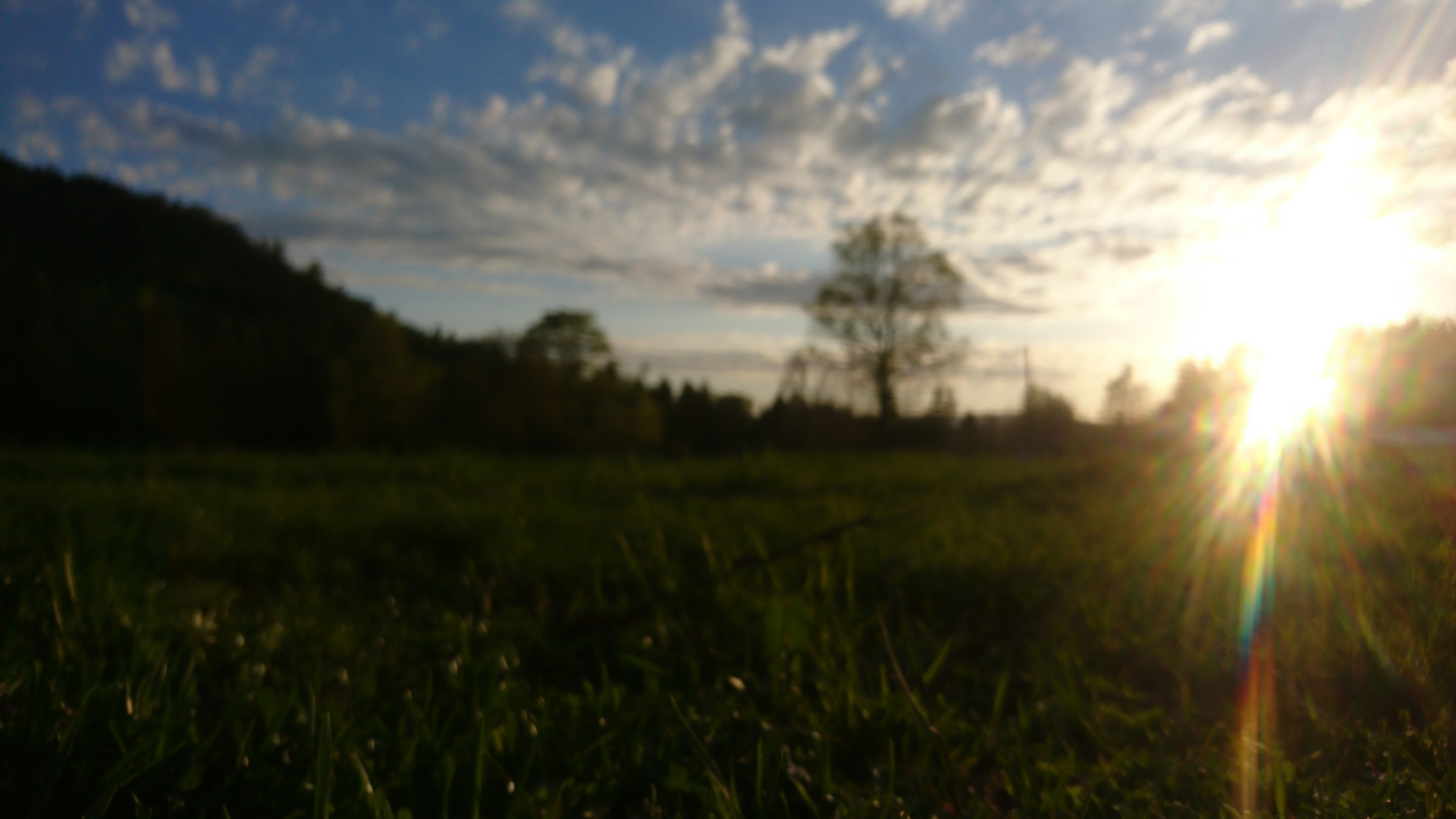 Sony Xperia X sample photo. Asgard photography