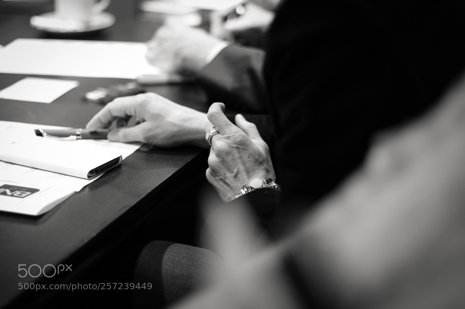 Canon EOS 760D (EOS Rebel T6s / EOS 8000D) sample photo. Business photography