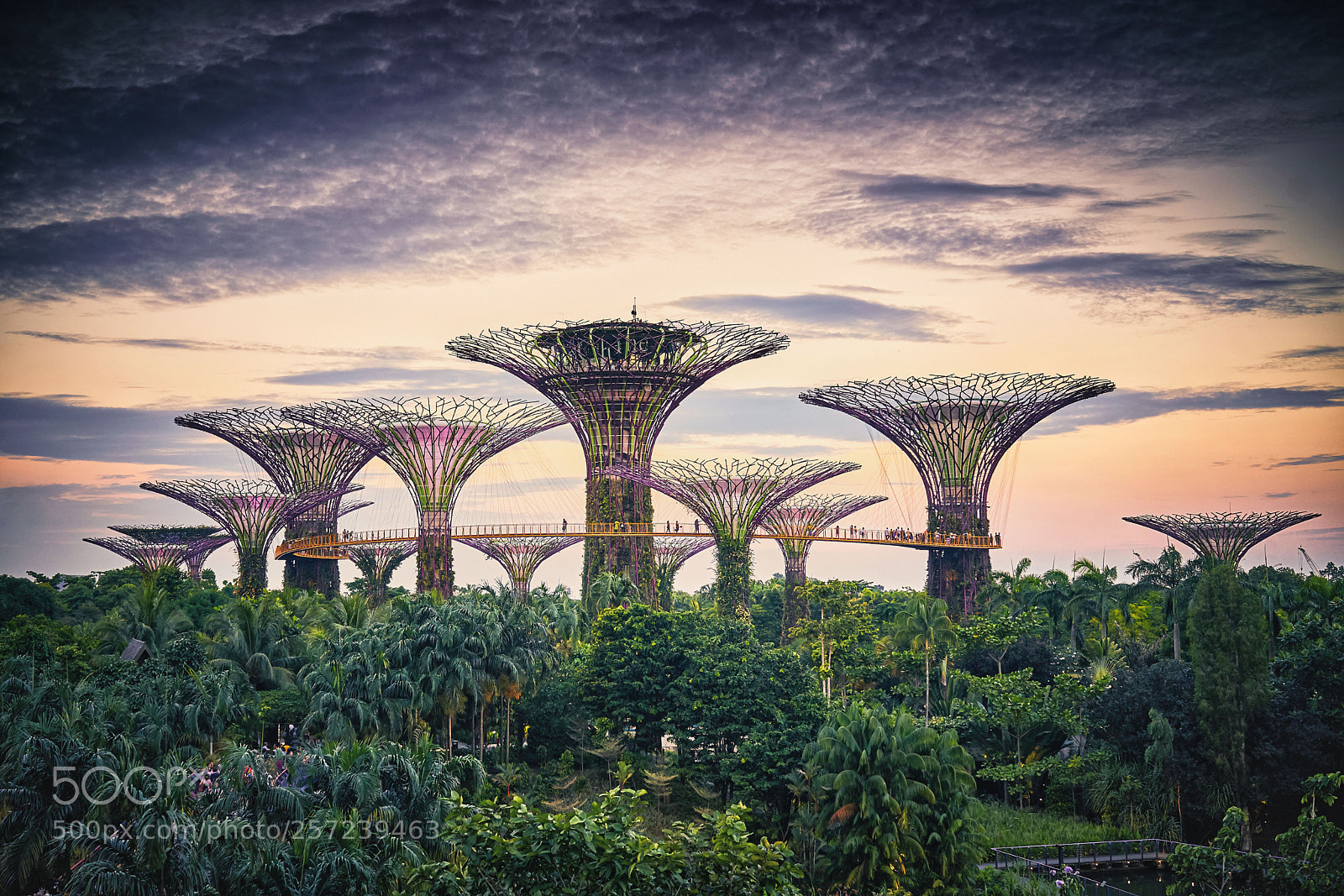 Sony a7R II sample photo. Singapore gardens by the photography