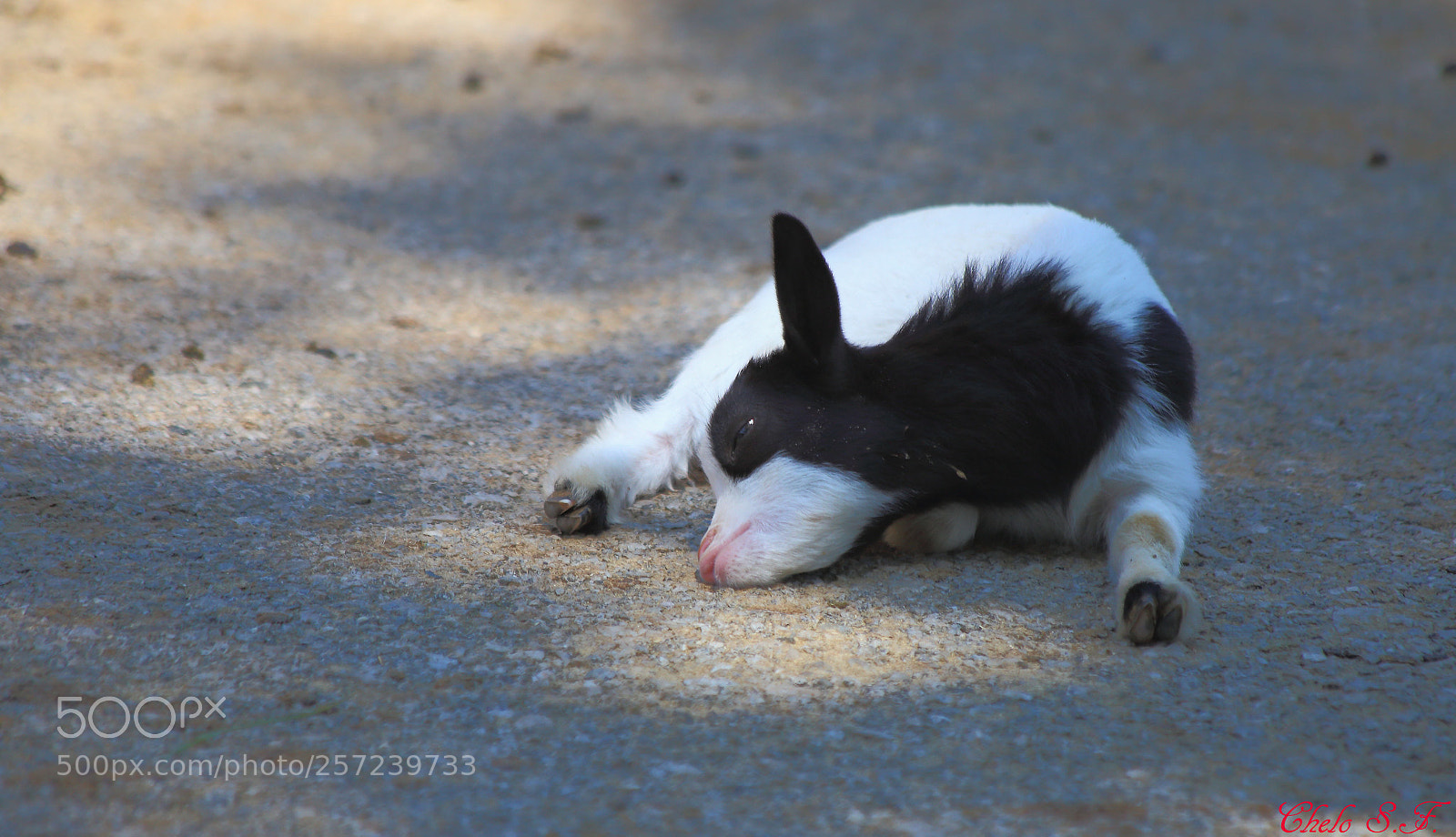Canon EOS 6D sample photo. Untitled photography