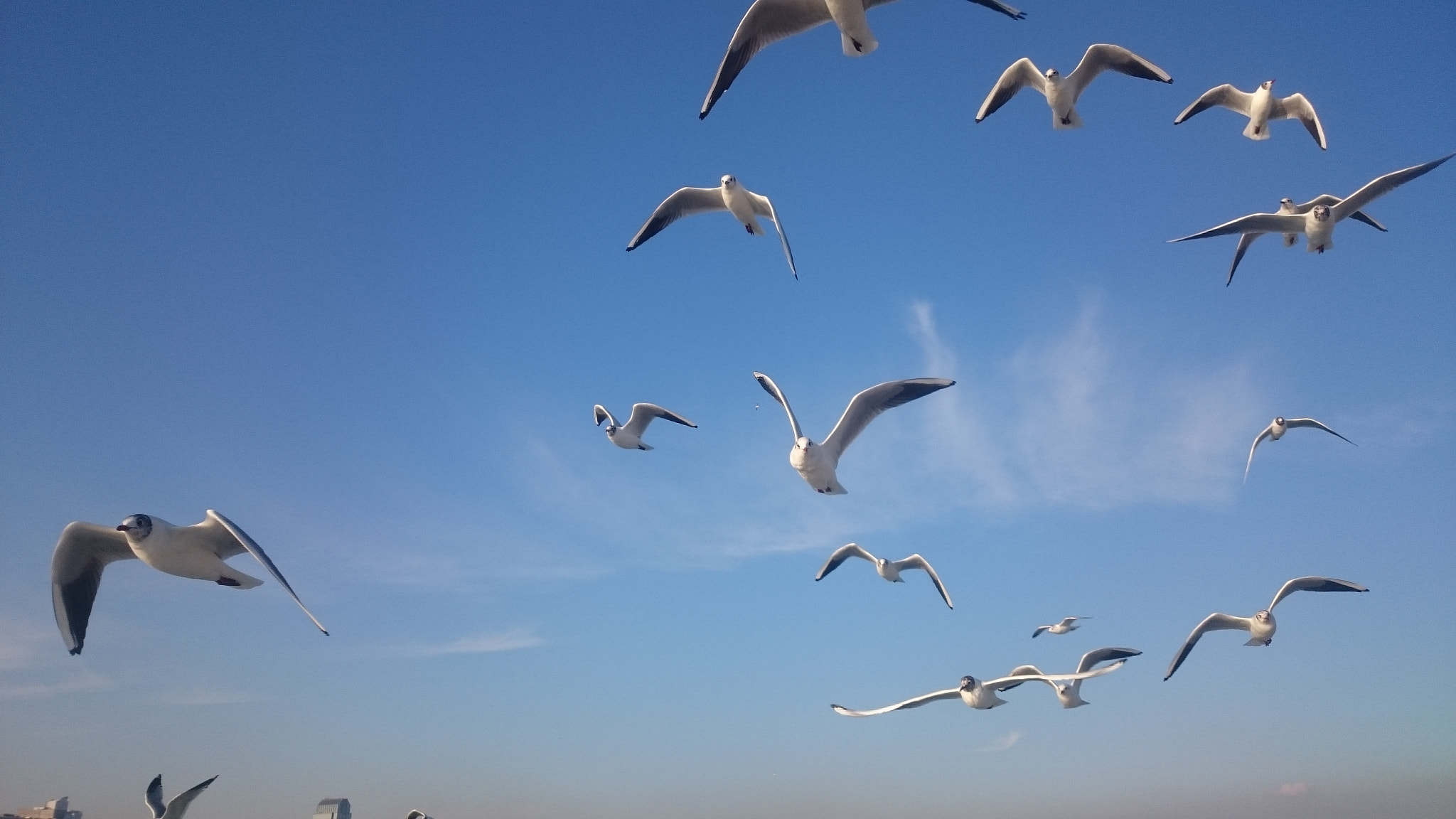 Sony Xperia Z2 sample photo. 9 photography