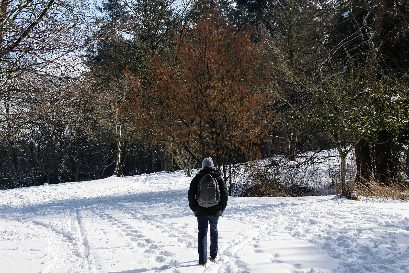 Canon EOS 700D (EOS Rebel T5i / EOS Kiss X7i) sample photo. Man walking in the photography