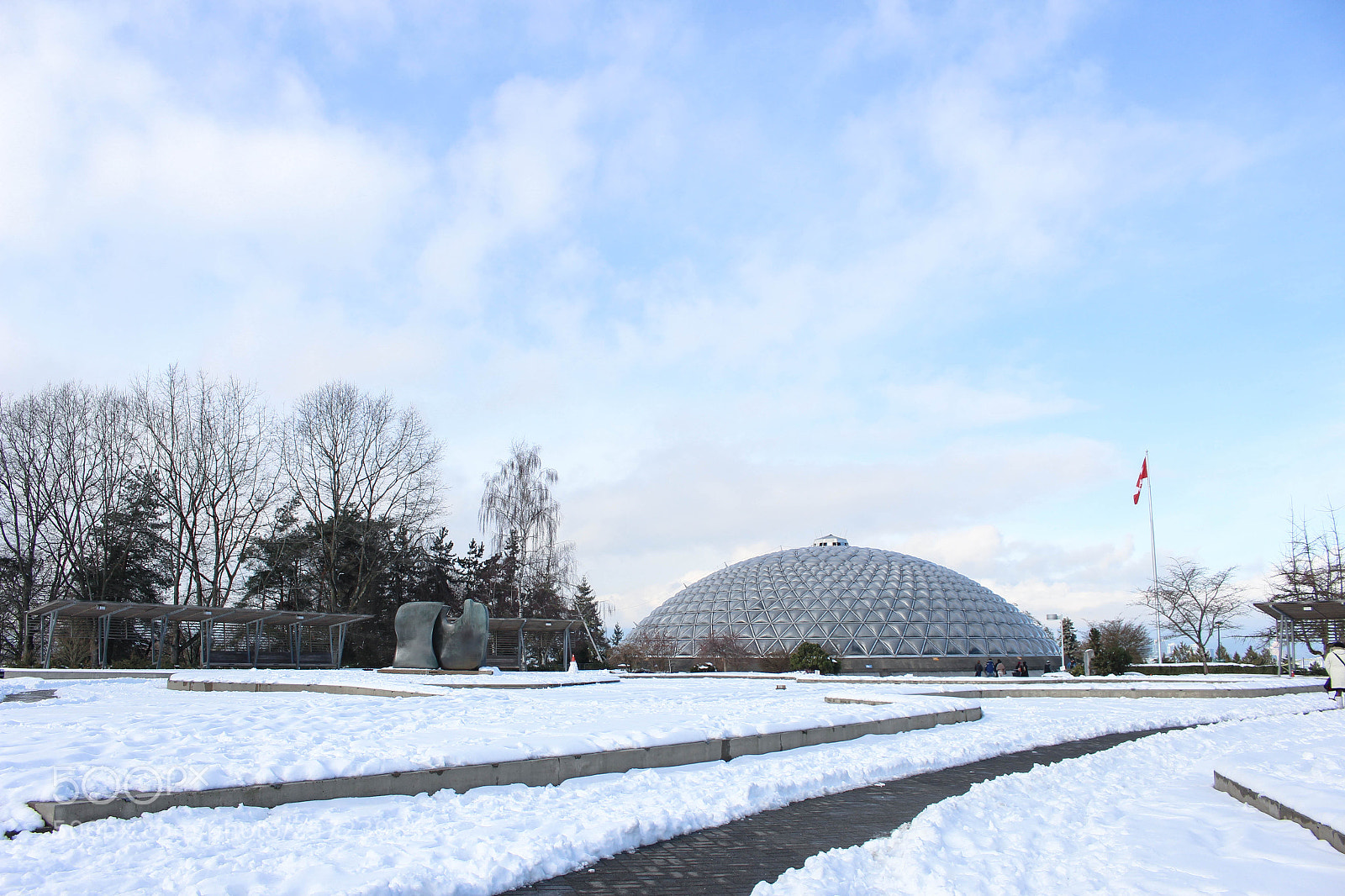 Canon EOS 700D (EOS Rebel T5i / EOS Kiss X7i) sample photo. Queen elizabeth park with photography