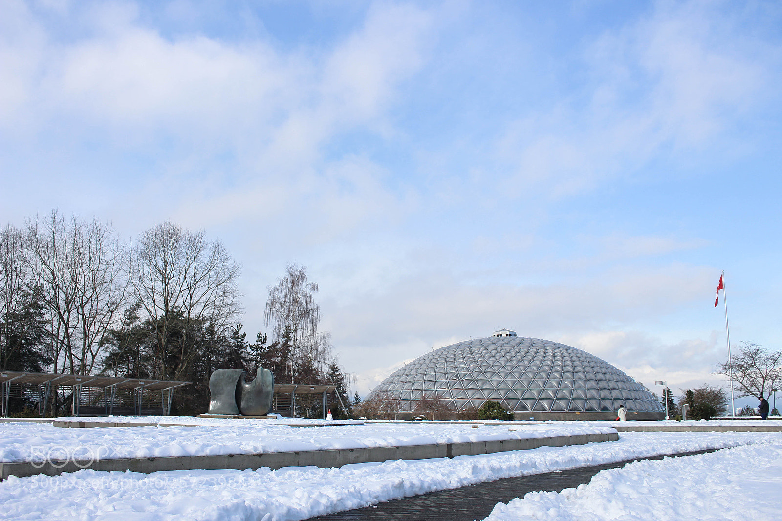 Canon EOS 700D (EOS Rebel T5i / EOS Kiss X7i) sample photo. Queen elizabeth park with photography