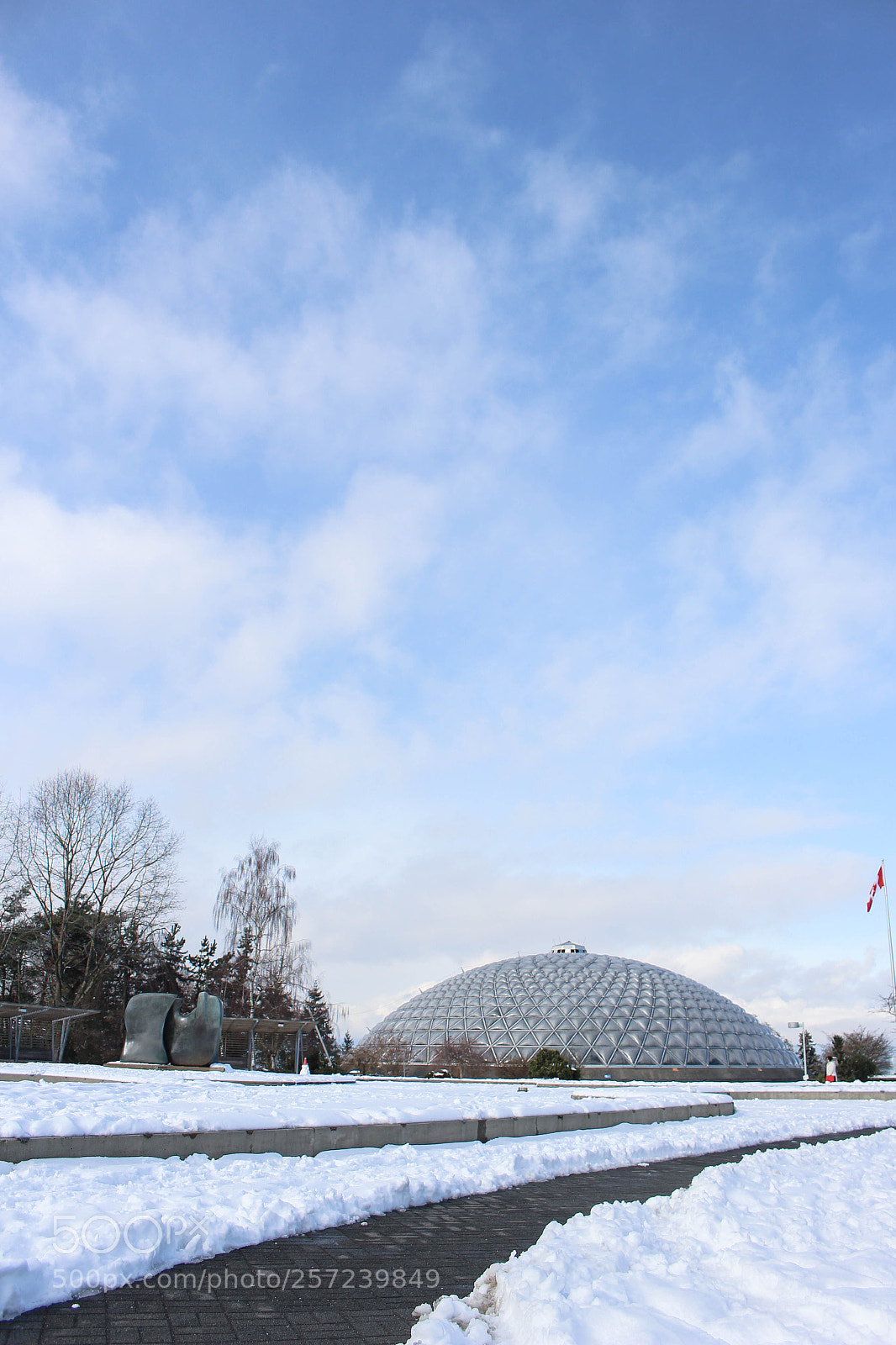 Canon EOS 700D (EOS Rebel T5i / EOS Kiss X7i) sample photo. Queen elizabeth park with photography