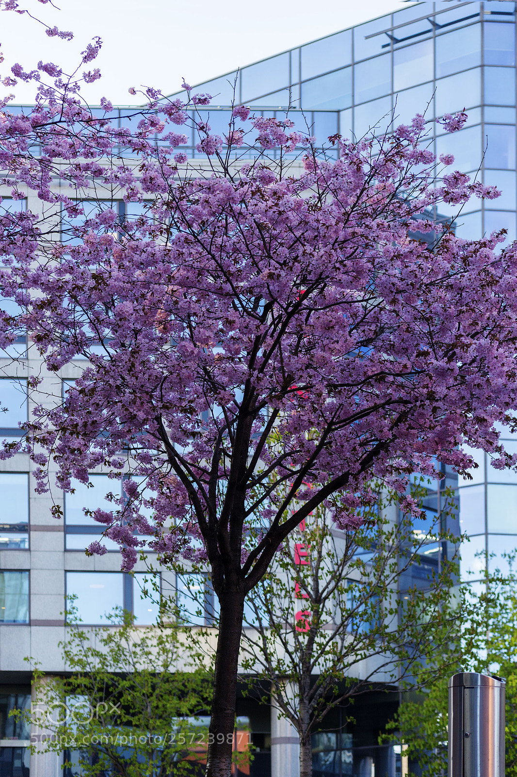 Canon EOS 6D sample photo. Springtime i city photography