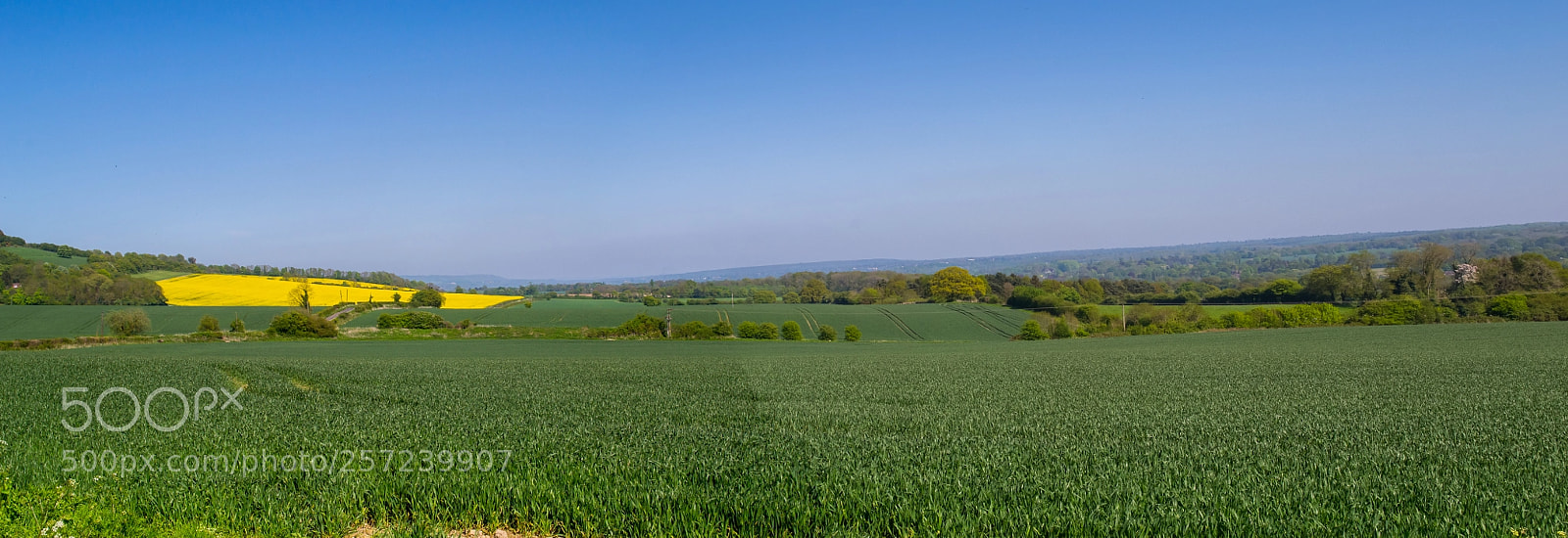 Nikon D3100 sample photo. Betsoms farm photography