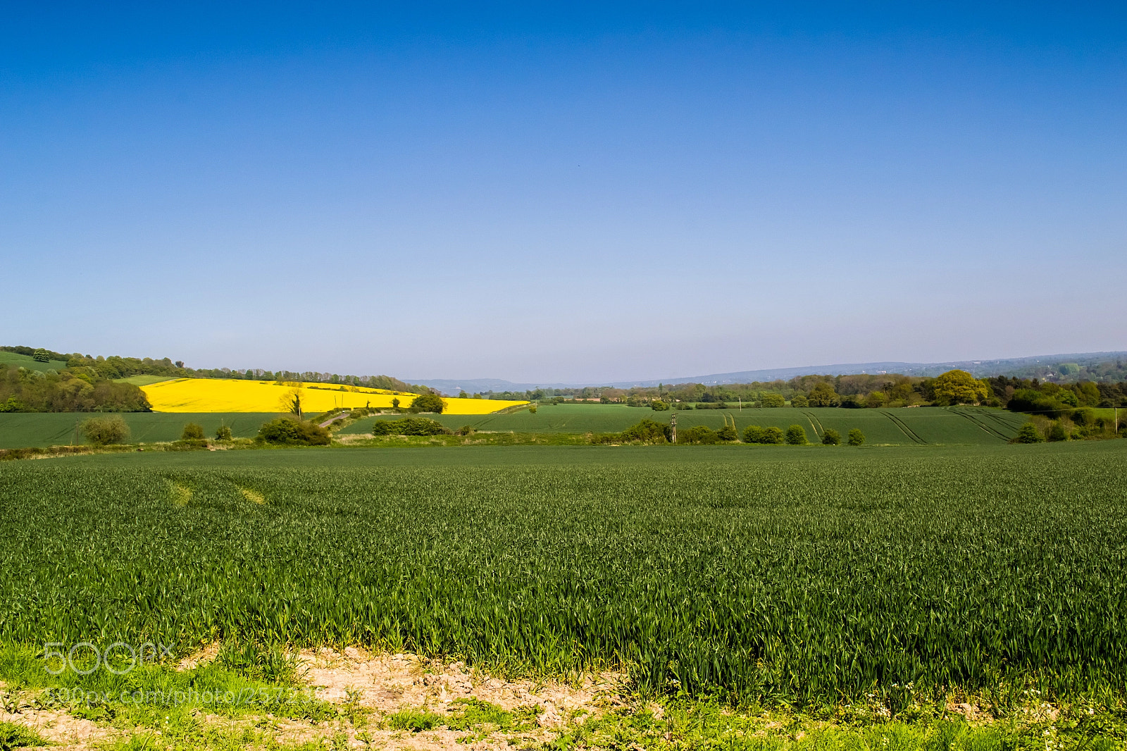 Nikon D3100 sample photo. Betsoms farm photography
