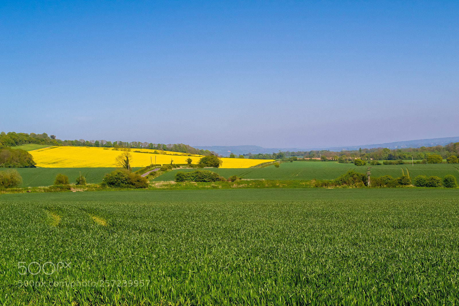 Nikon D3100 sample photo. Betsoms farm photography
