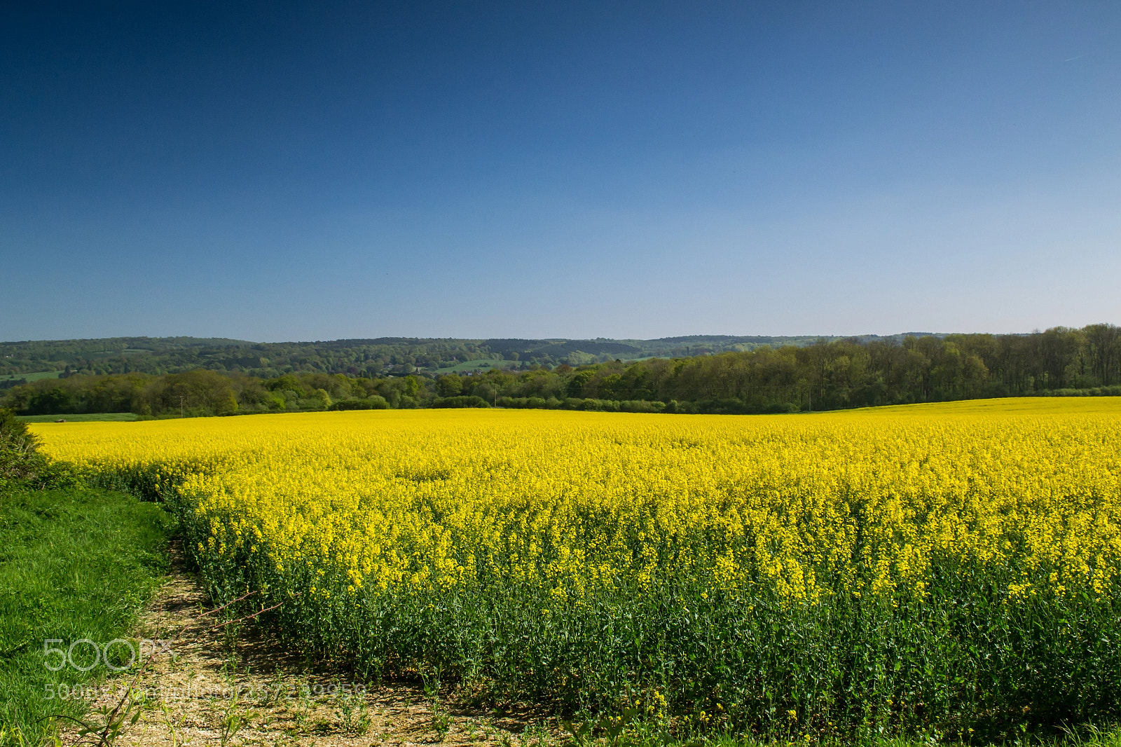 Nikon D3100 sample photo. Betsoms farm photography