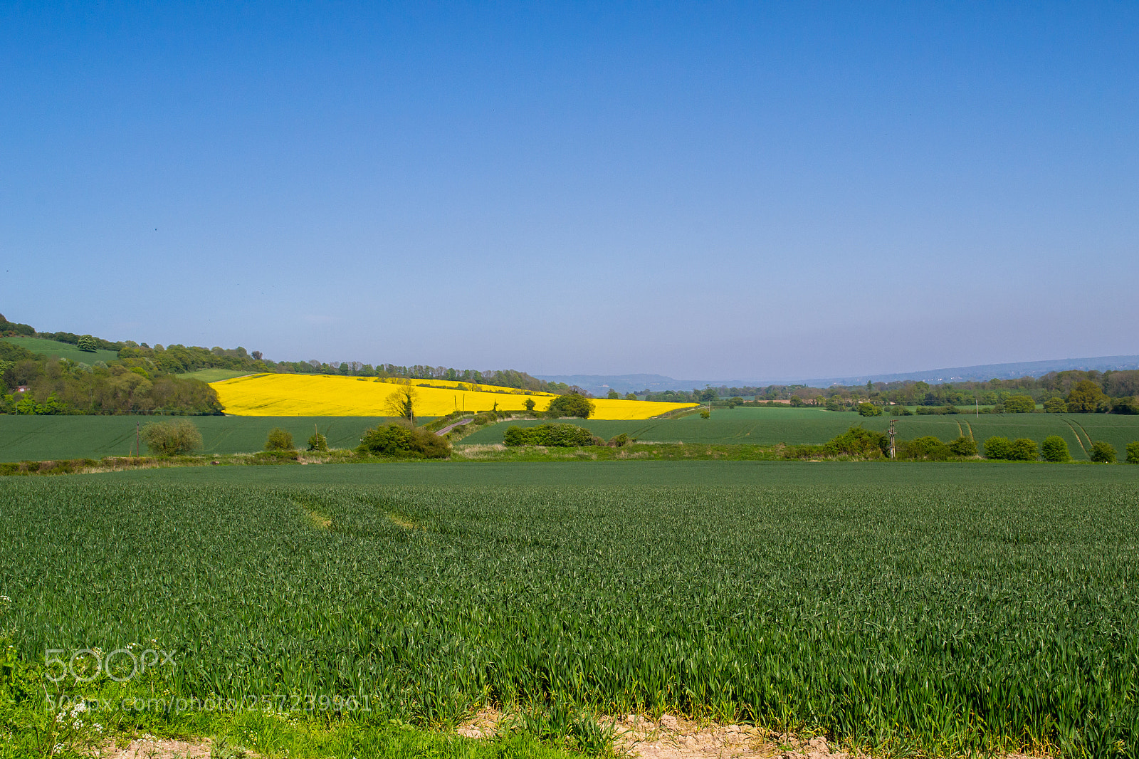 Nikon D3100 sample photo. Betsoms farm photography