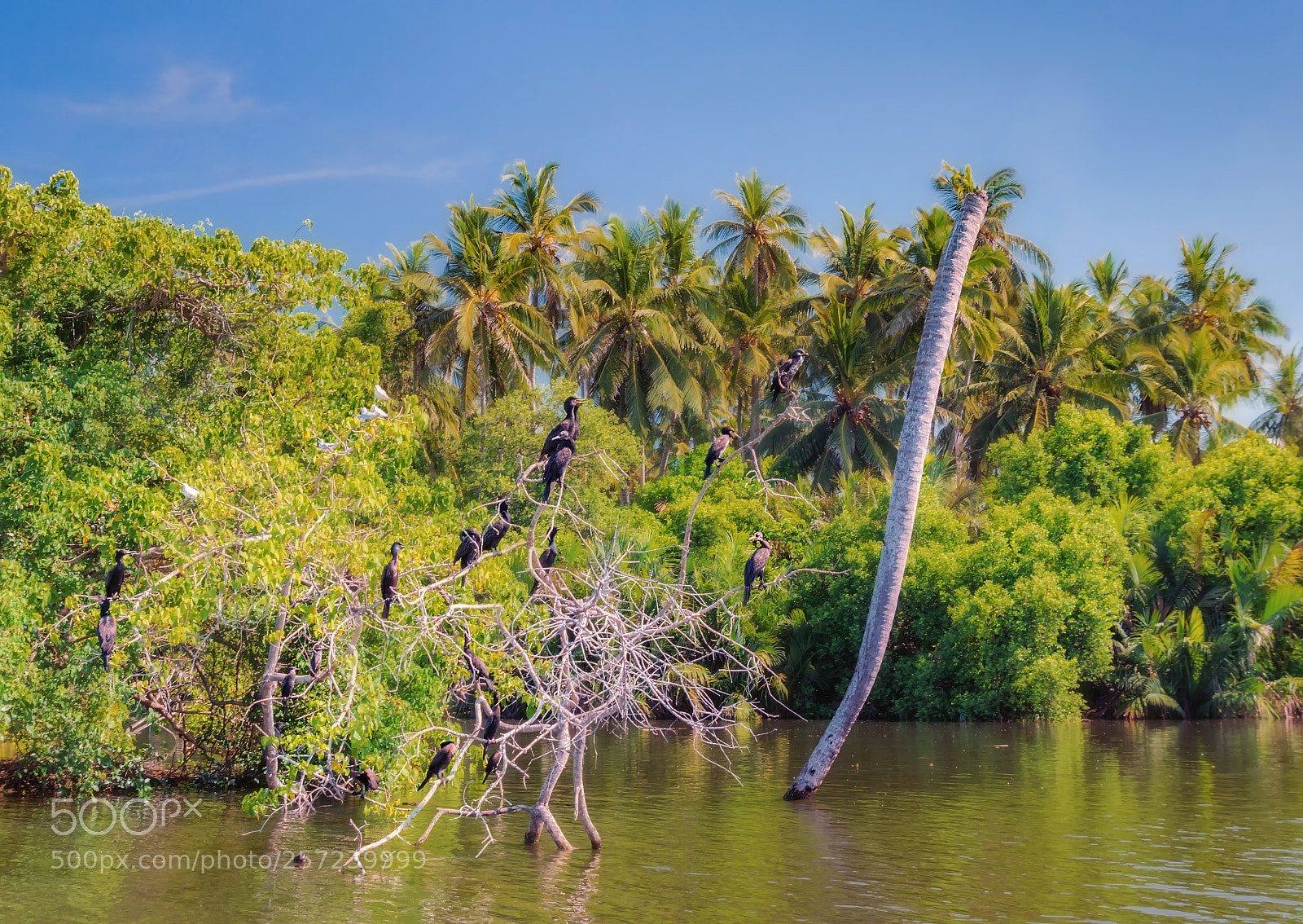 Pentax K-3 sample photo. Dutch canal in negombo. photography