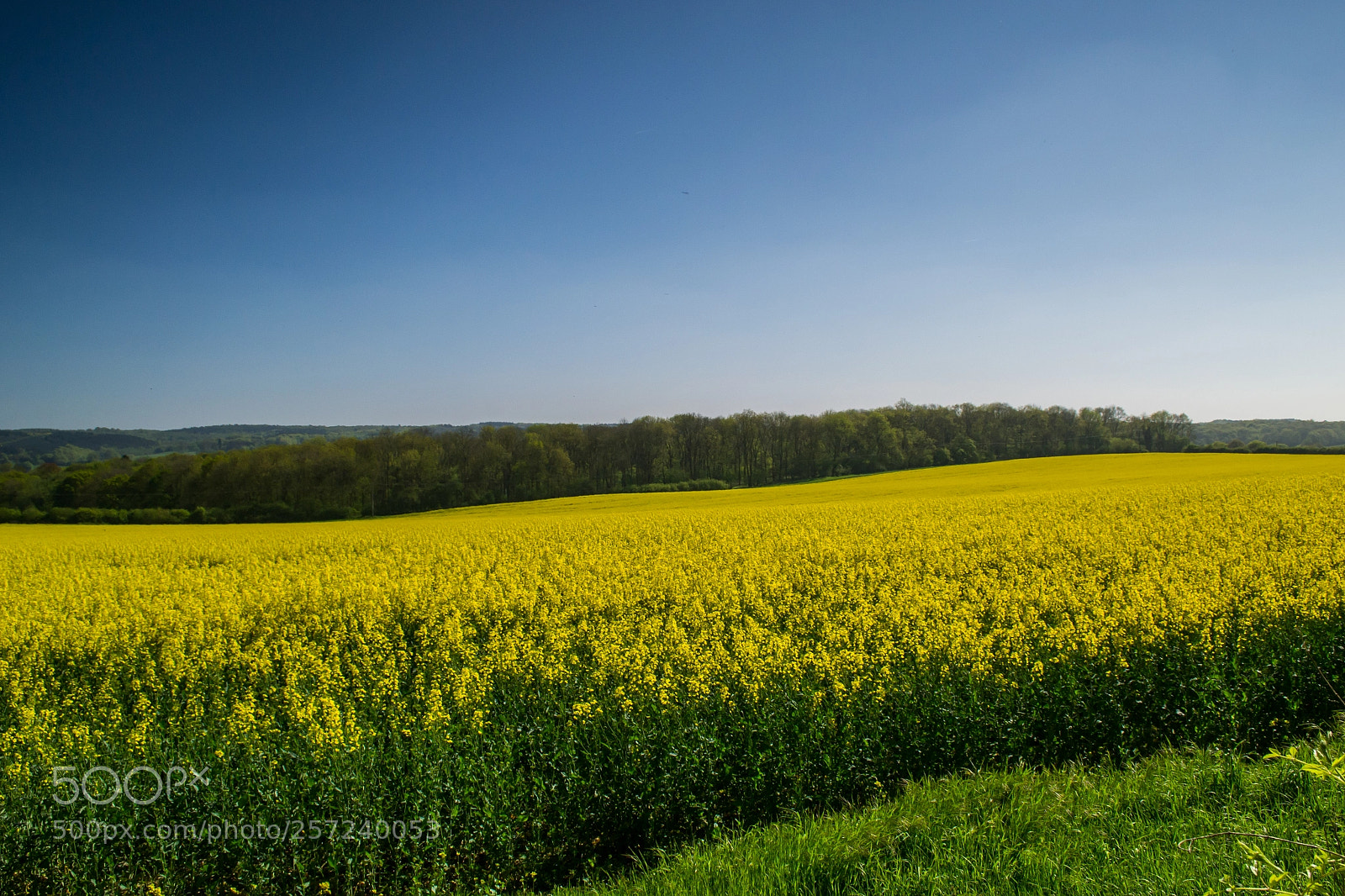 Nikon D3100 sample photo. Betsoms farm photography
