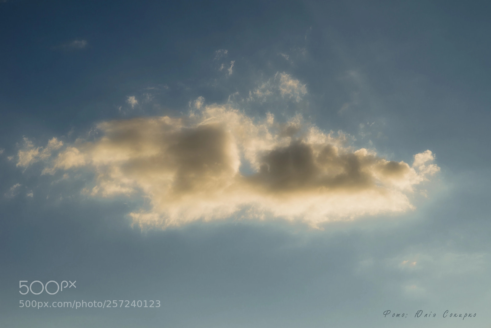 Nikon D610 sample photo. Untitled photography