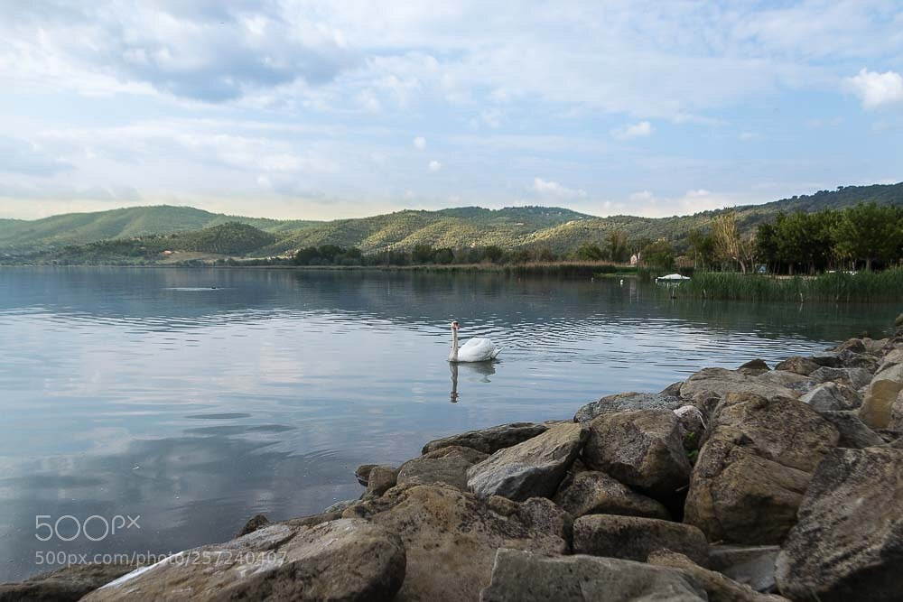 Nikon D3100 sample photo. Trasimeno  photography