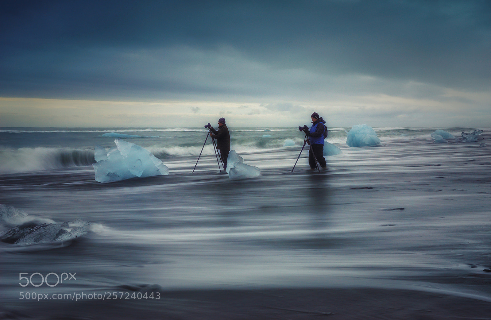 Sony a7R sample photo. Frozen photography