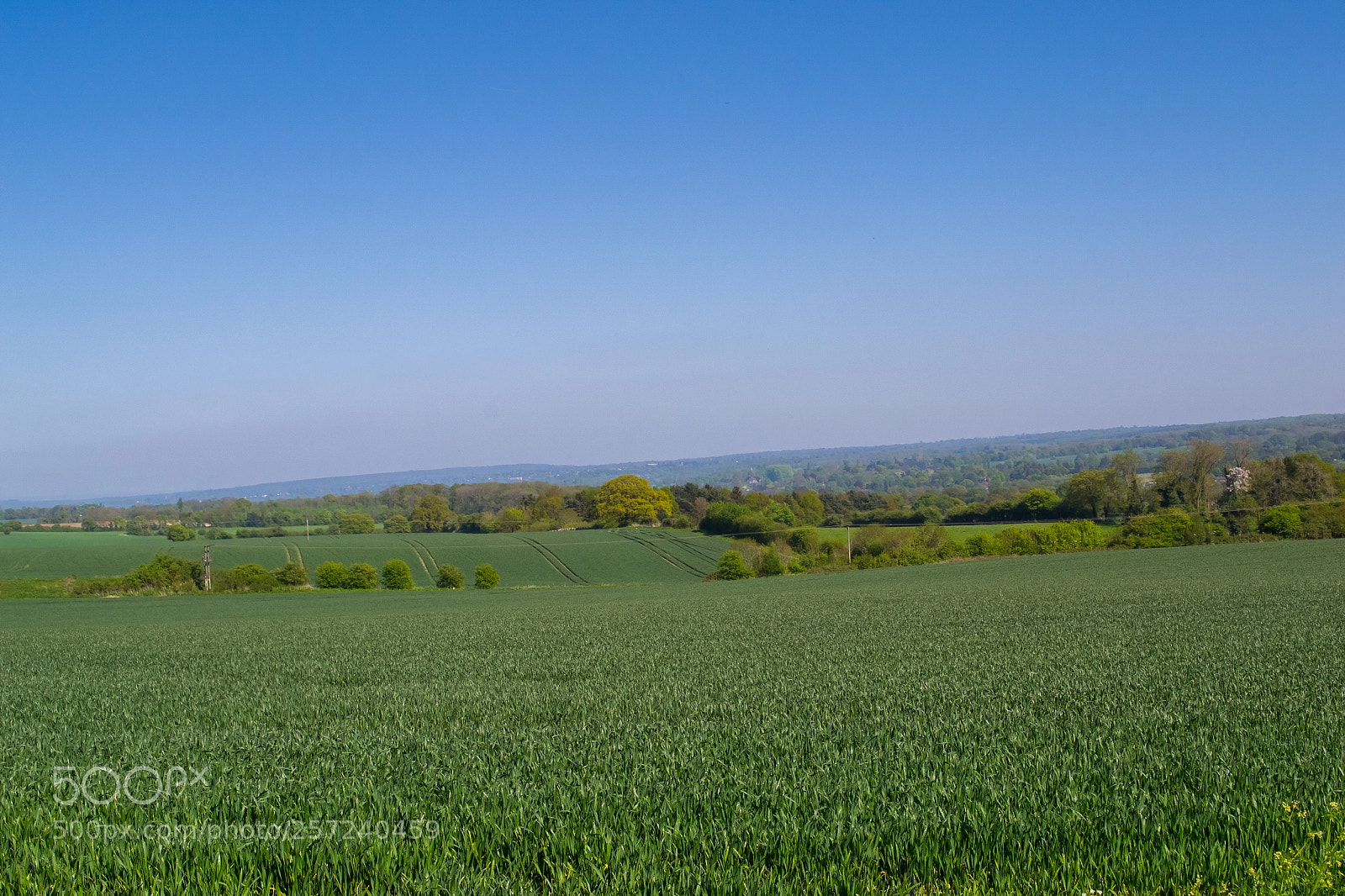Nikon D3100 sample photo. Betsoms farm photography
