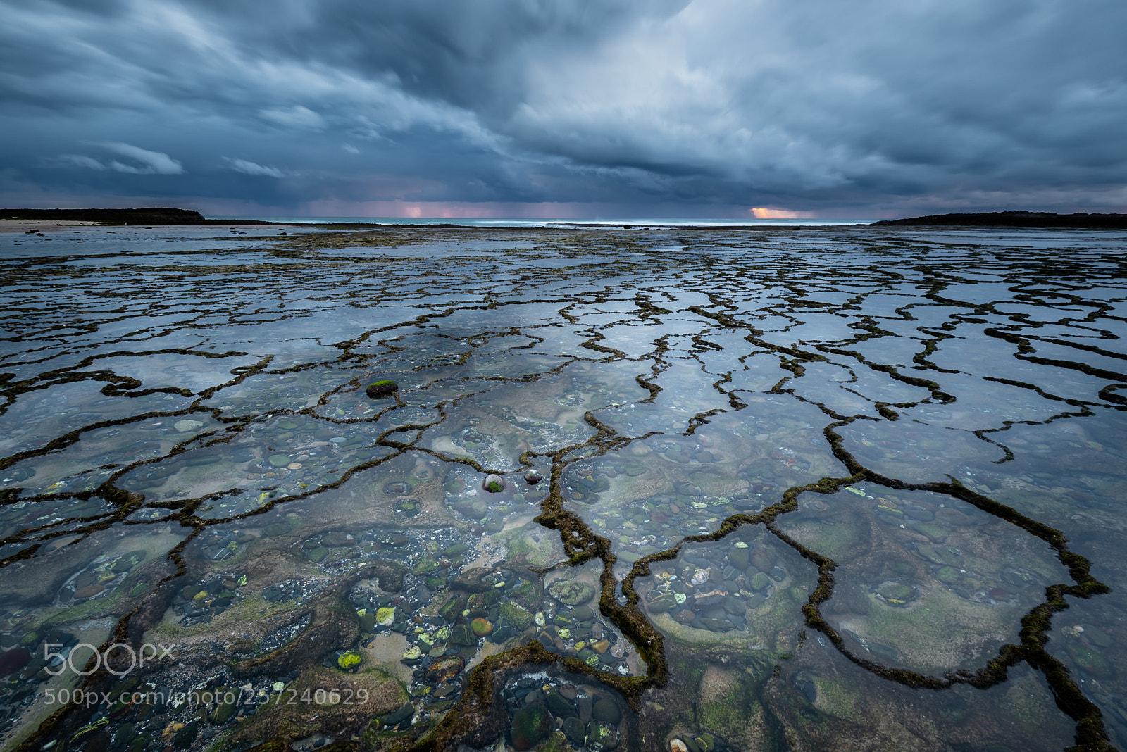Nikon D750 sample photo. Untitled photography