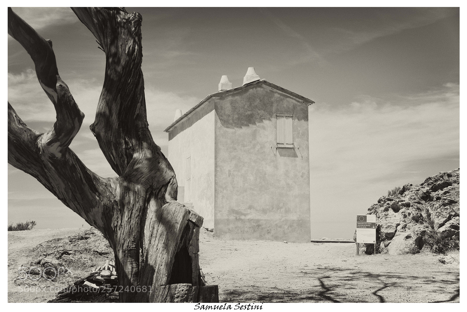 Nikon D750 sample photo. Old corse n.2 photography