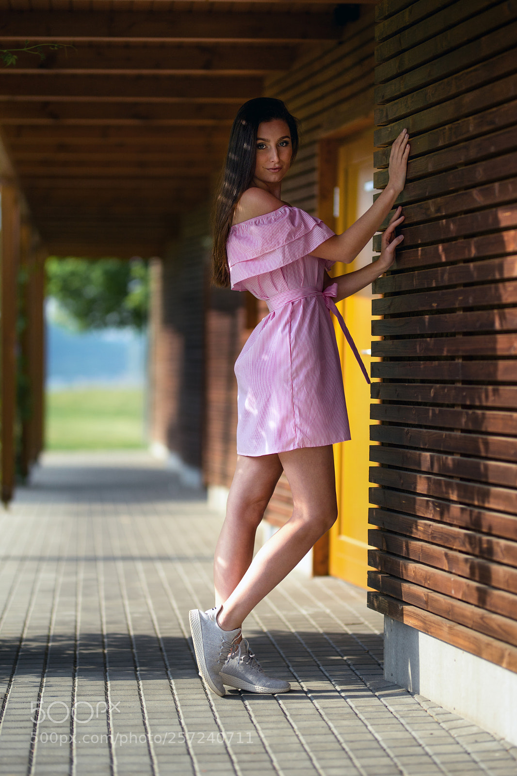Sony a7 II sample photo. Denca photography