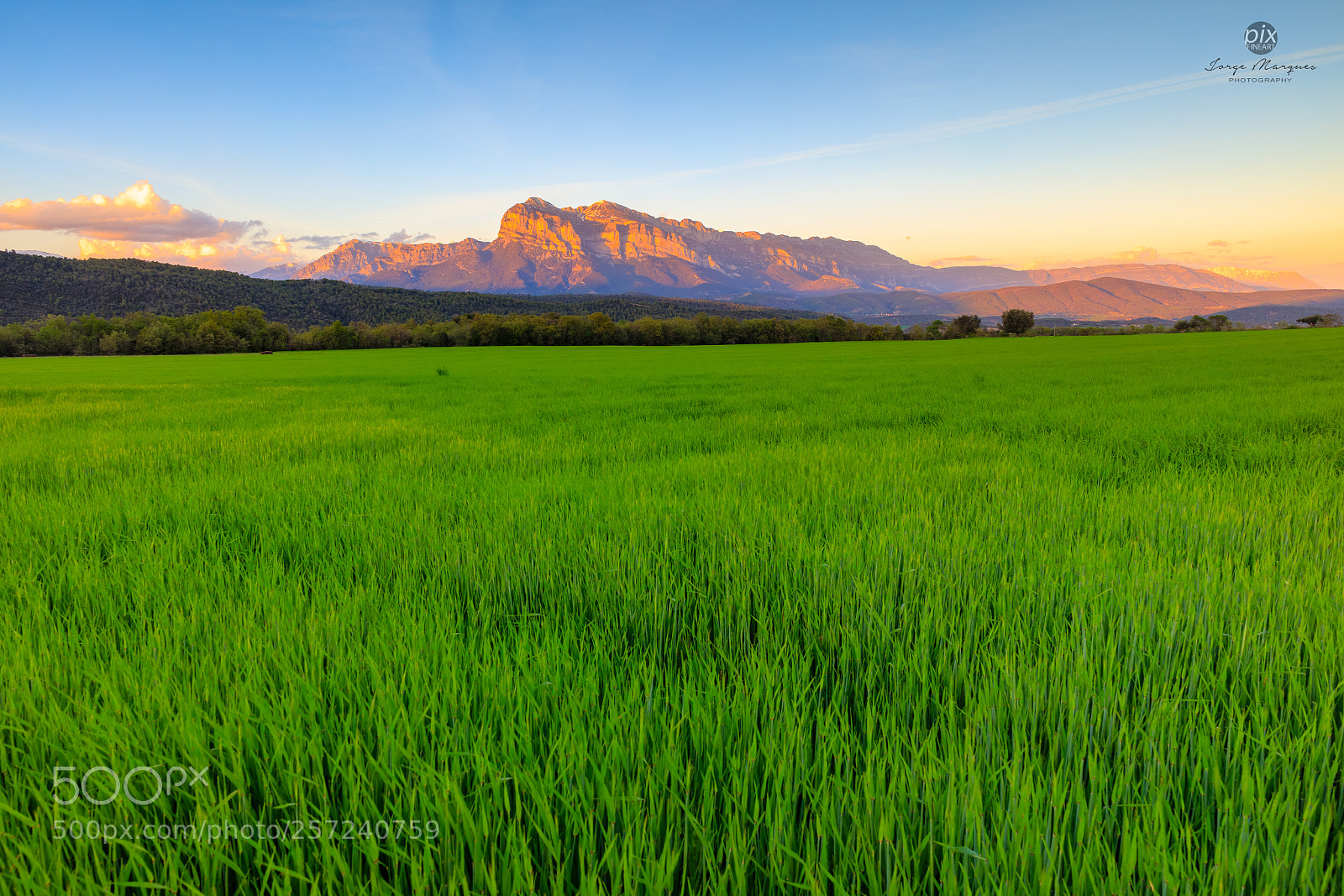 Canon EOS 5DS sample photo. Lan0198 photography