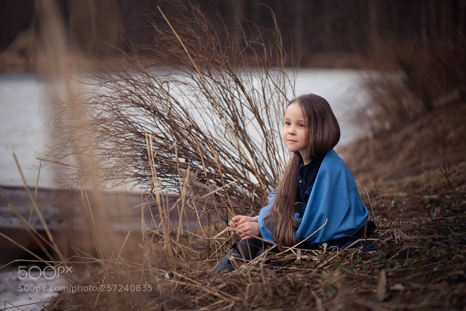Nikon D610 sample photo. Untitled photography