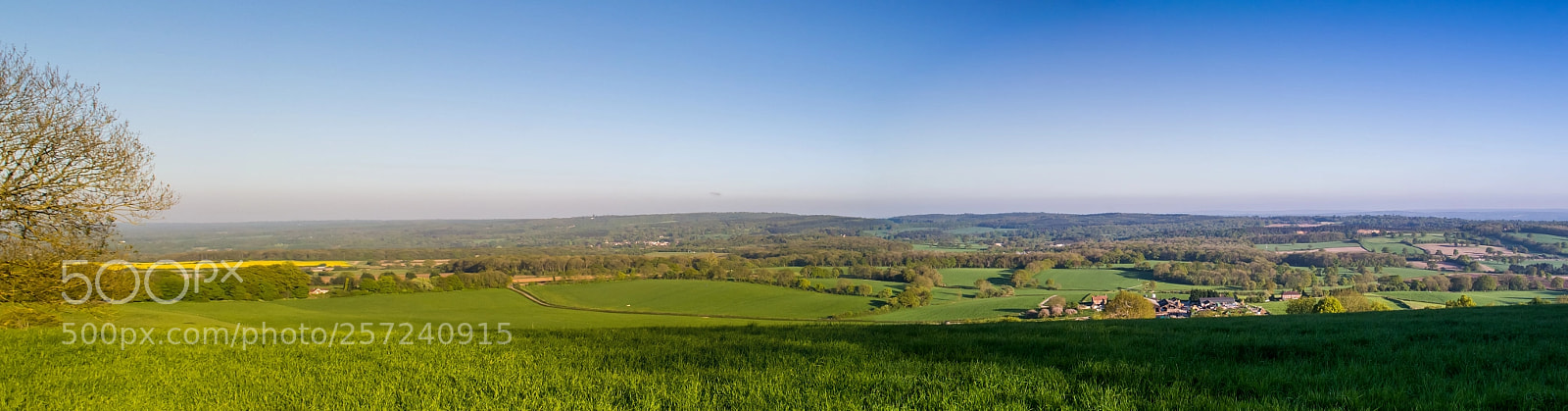 Nikon D3100 sample photo. Surrey hills, titsey photography